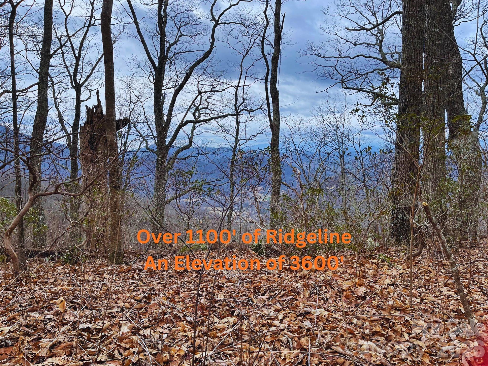 135 Gavin Glen Road Weaverville NC 28787