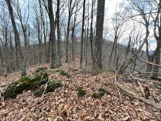 135 Gavin Glen Road Weaverville NC 28787