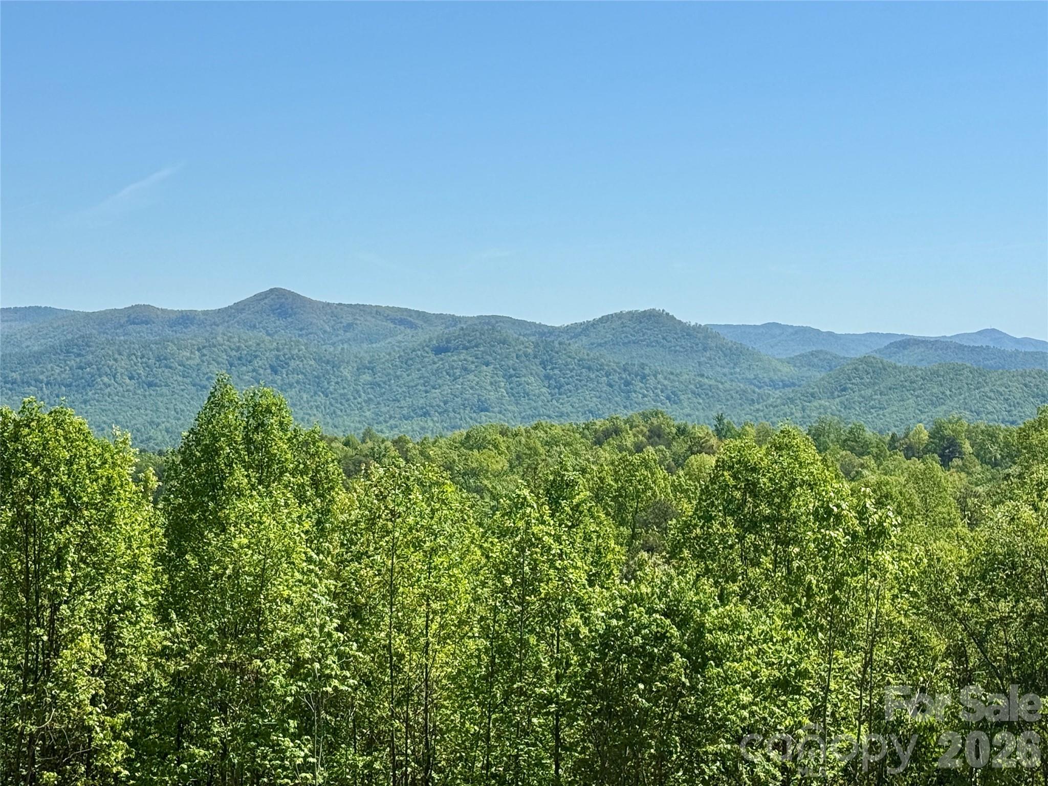 0 Doe Hallow Trail Nebo NC 28761
