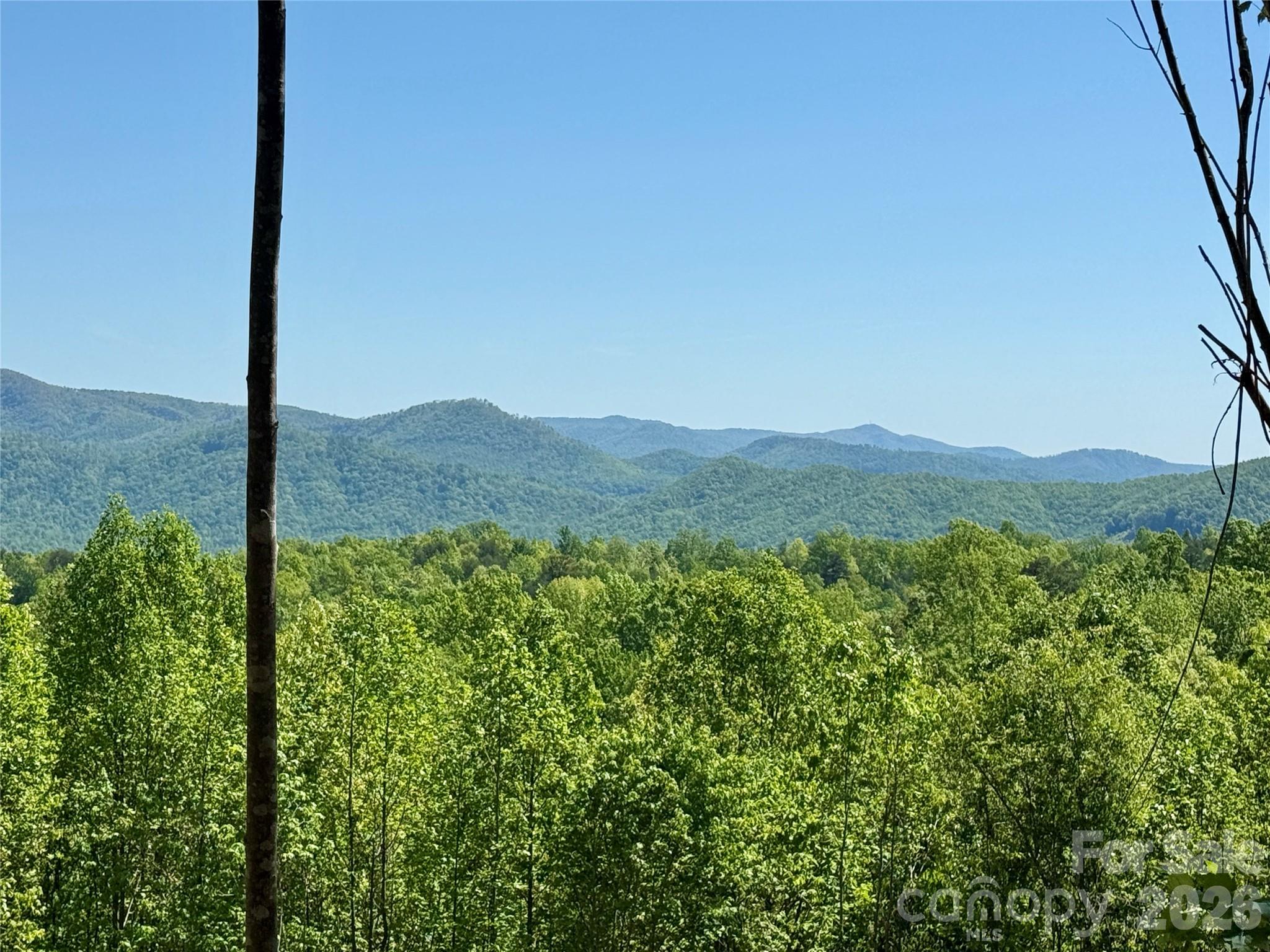 0 Doe Hallow Trail Nebo NC 28761