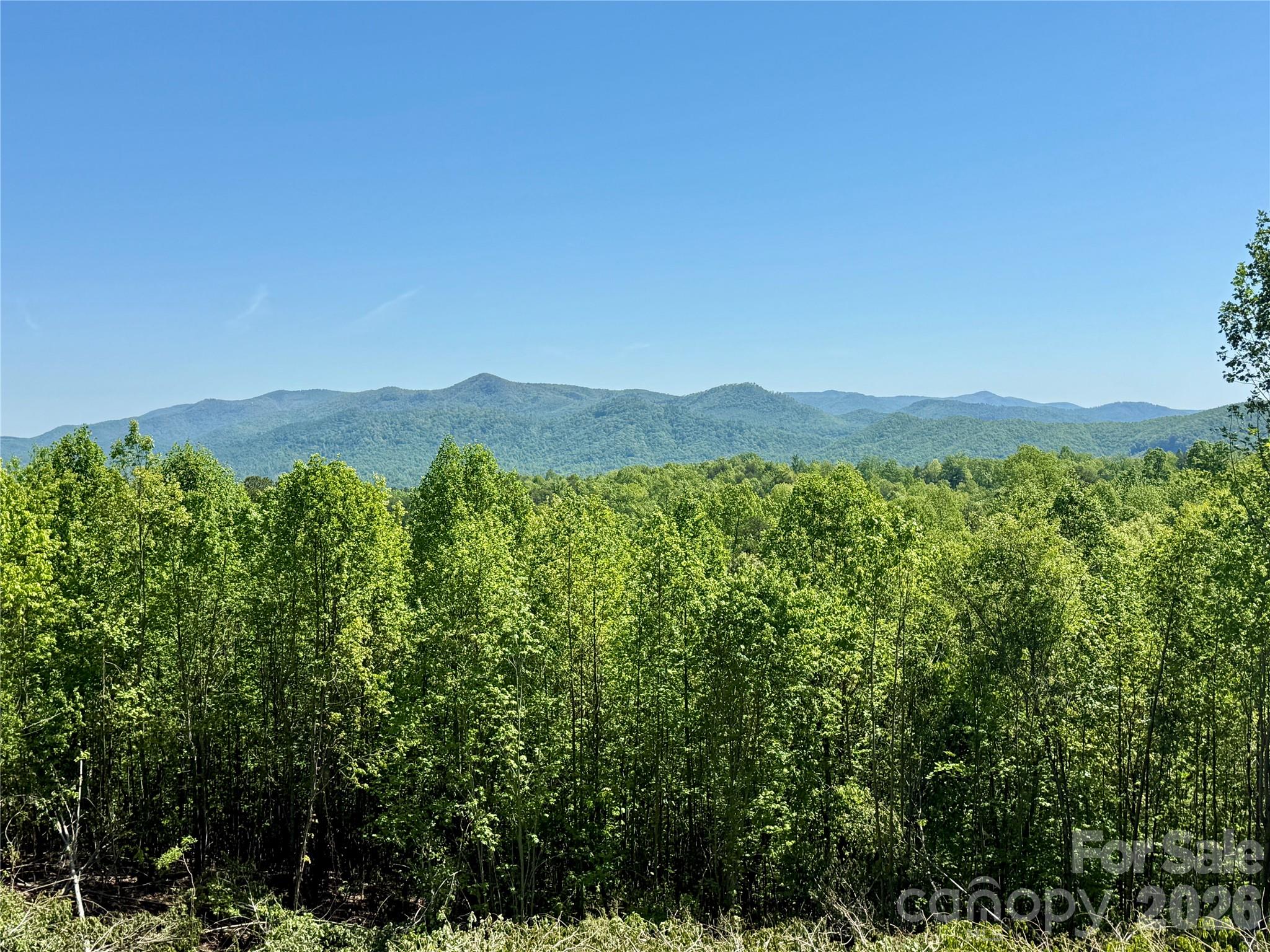 0 Doe Hallow Trail Nebo NC 28761