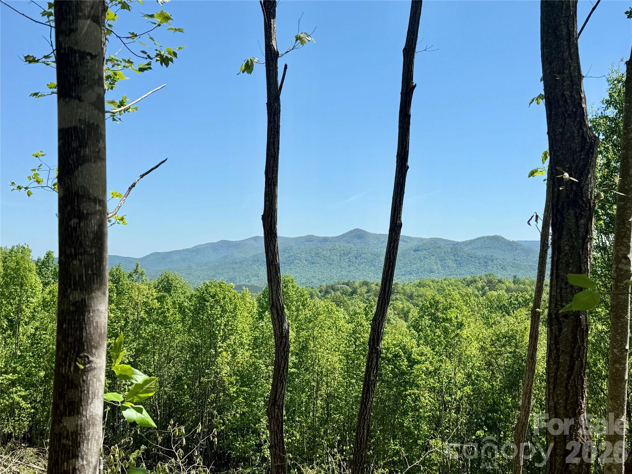 0 Doe Hallow Trail Nebo NC 28761
