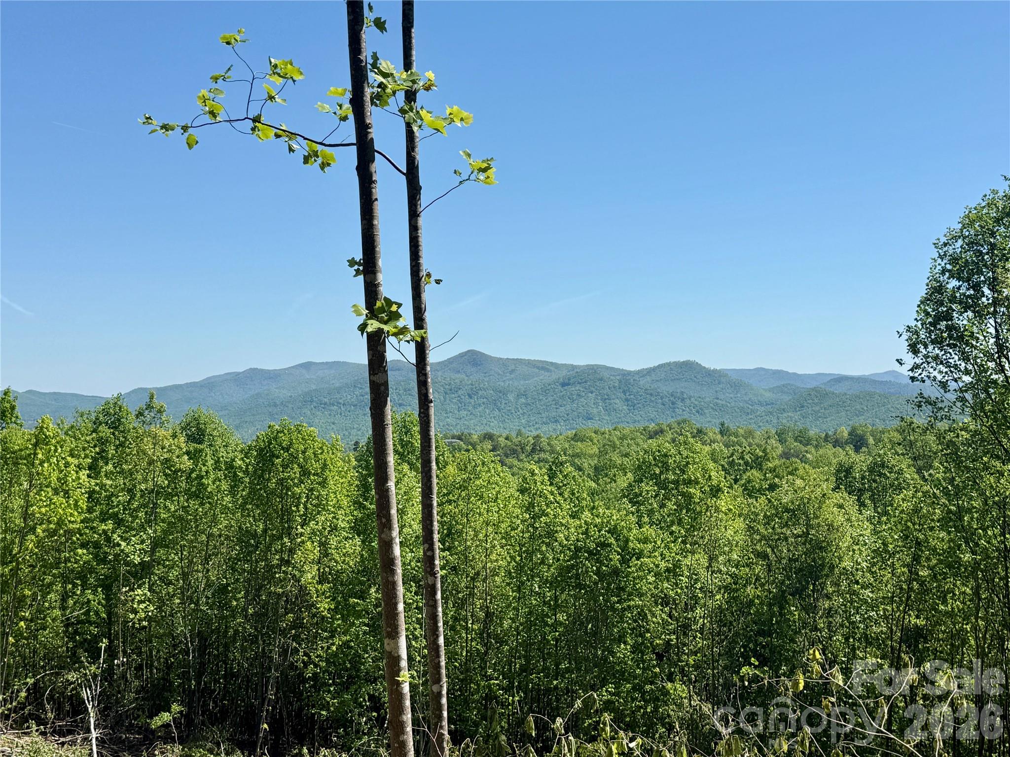 0 Doe Hallow Trail Nebo NC 28761