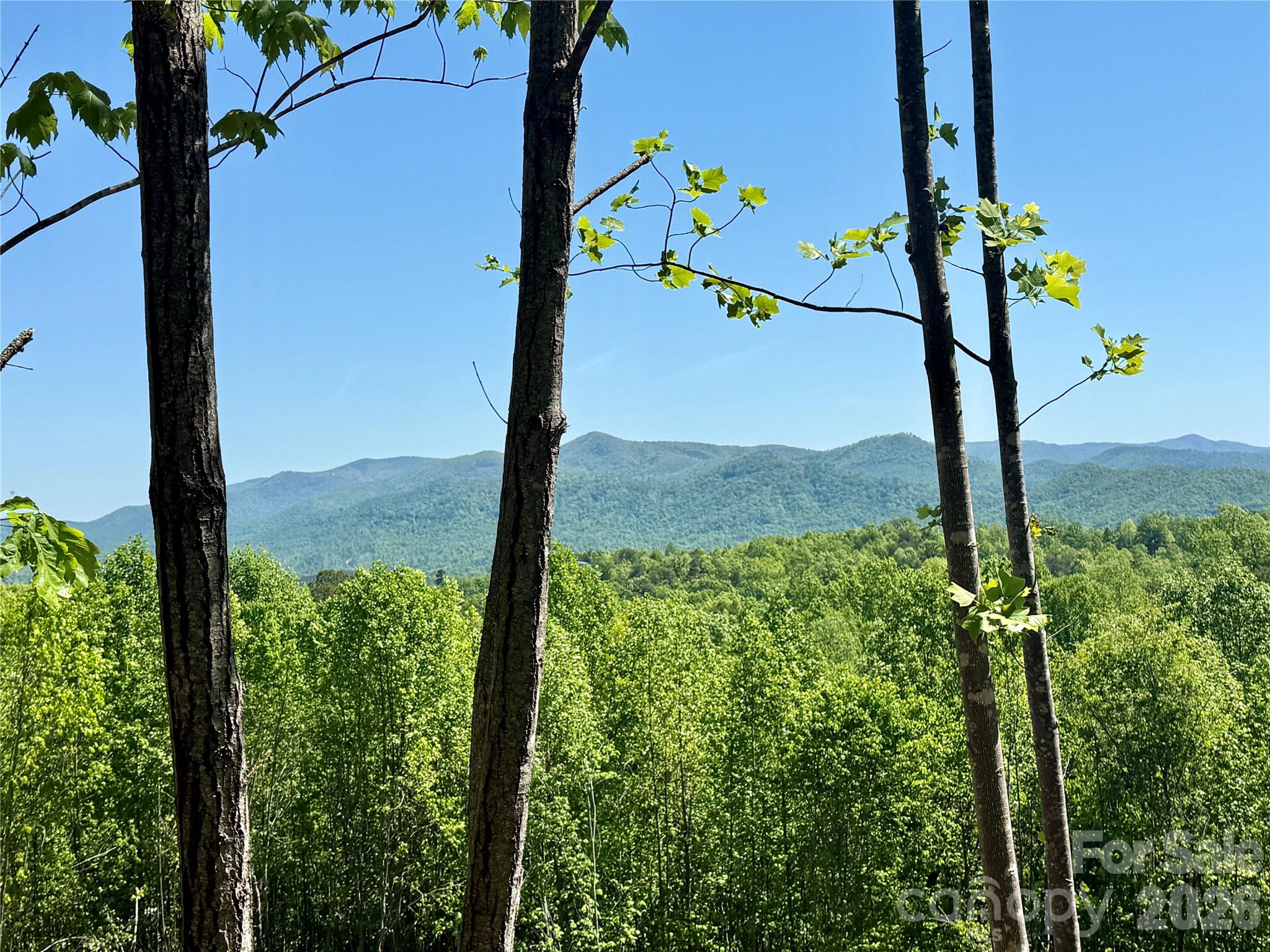 0 Doe Hallow Trail Nebo NC 28761