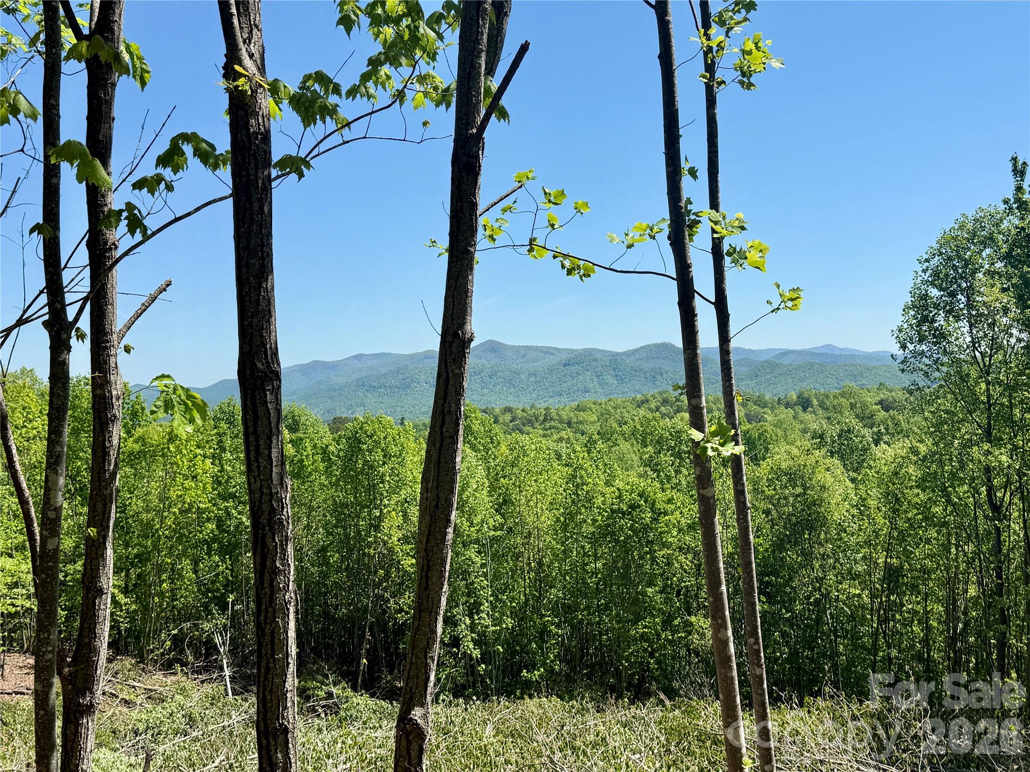 0 Doe Hallow Trail Nebo NC 28761