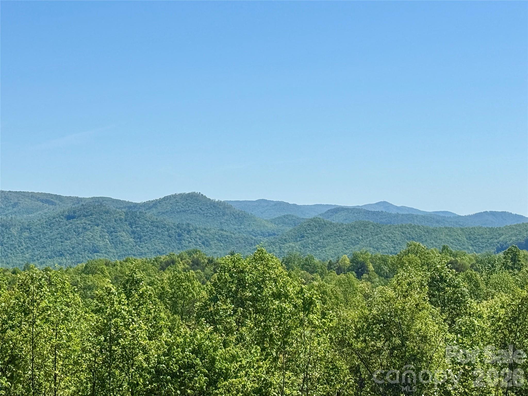 0 Doe Hallow Trail Nebo NC 28761