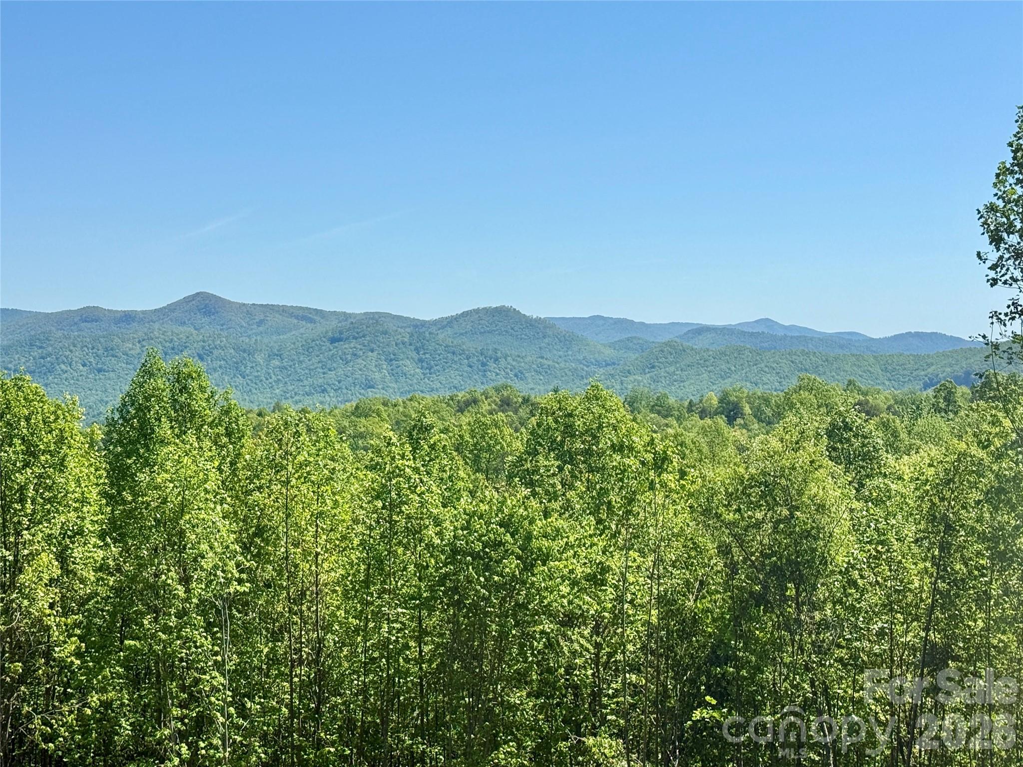0 Doe Hallow Trail Nebo NC 28761