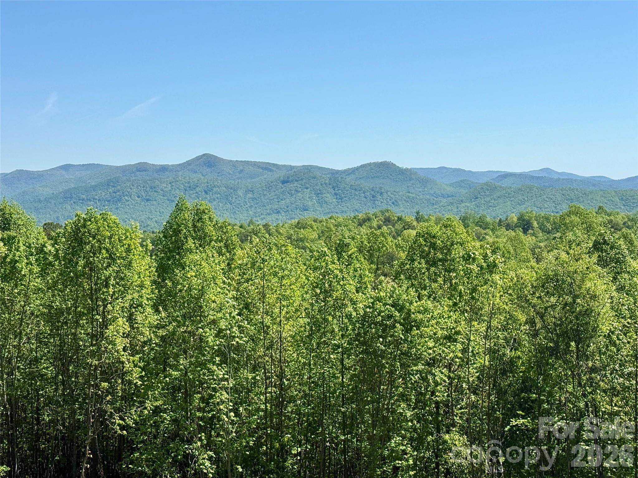 0 Doe Hallow Trail Nebo NC 28761