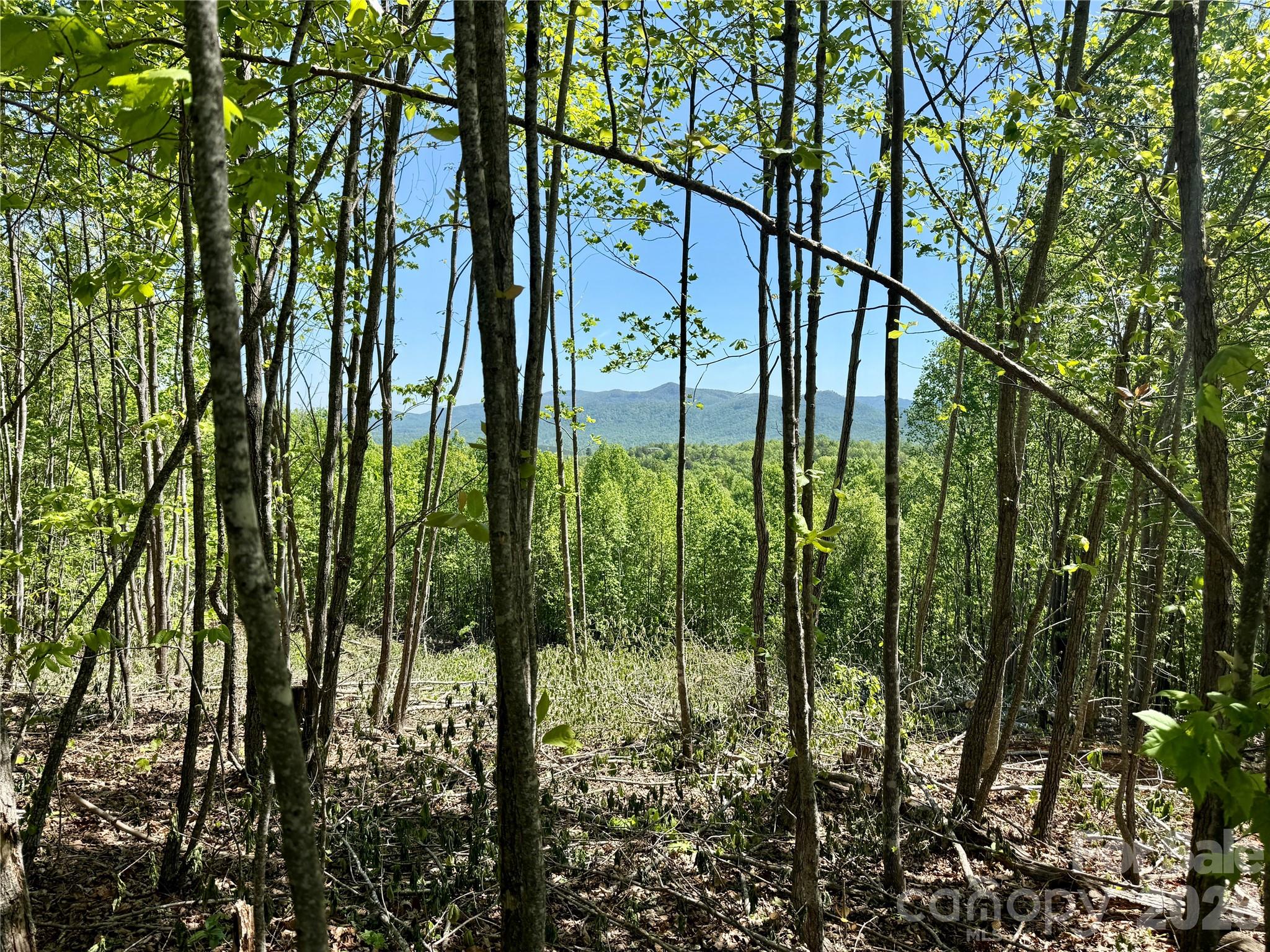 0 Doe Hallow Trail Nebo NC 28761
