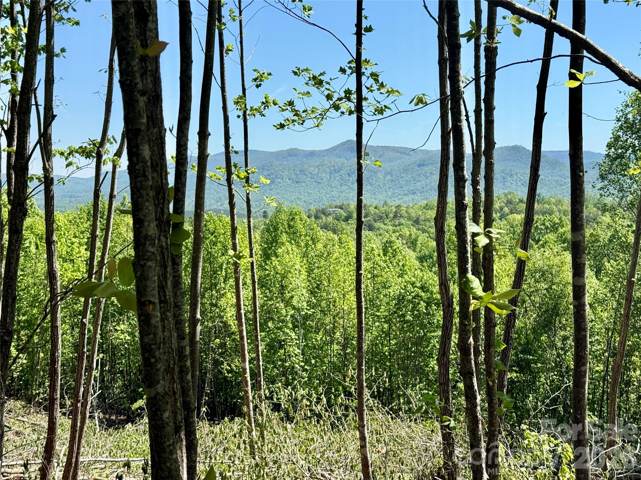 0 Doe Hallow Trail Nebo NC 28761
