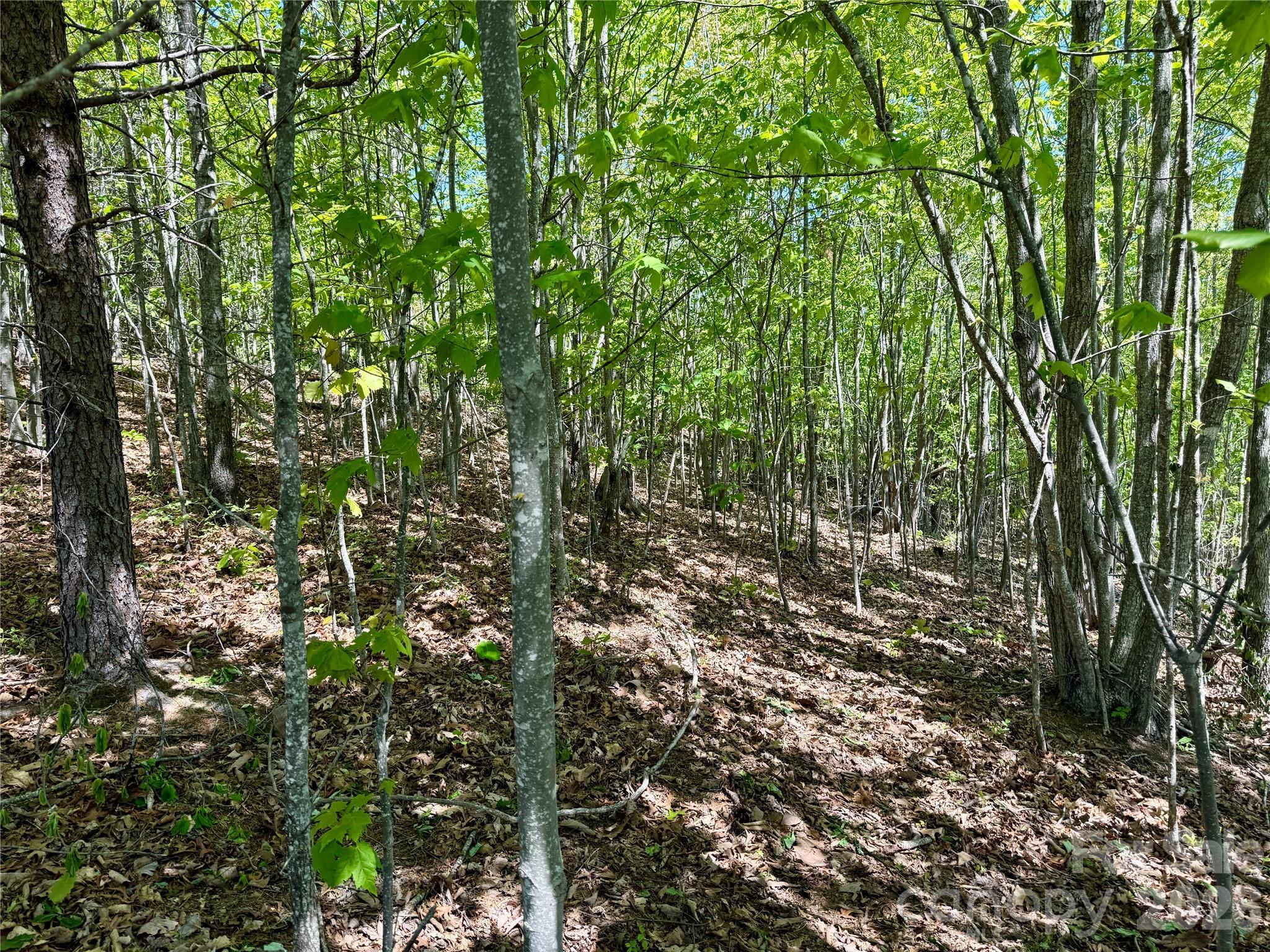 0 Doe Hallow Trail Nebo NC 28761