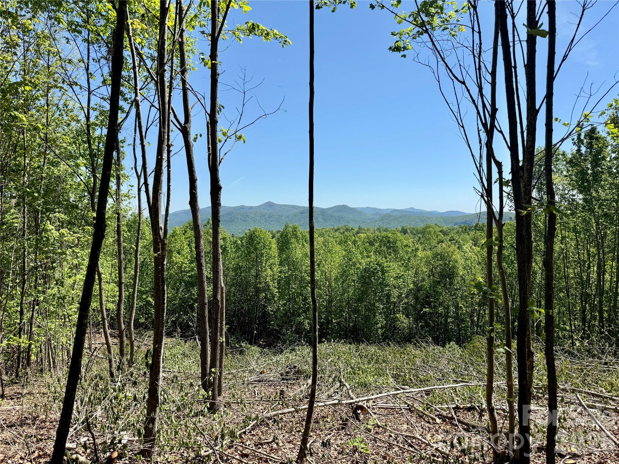 0 Doe Hallow Trail Nebo NC 28761