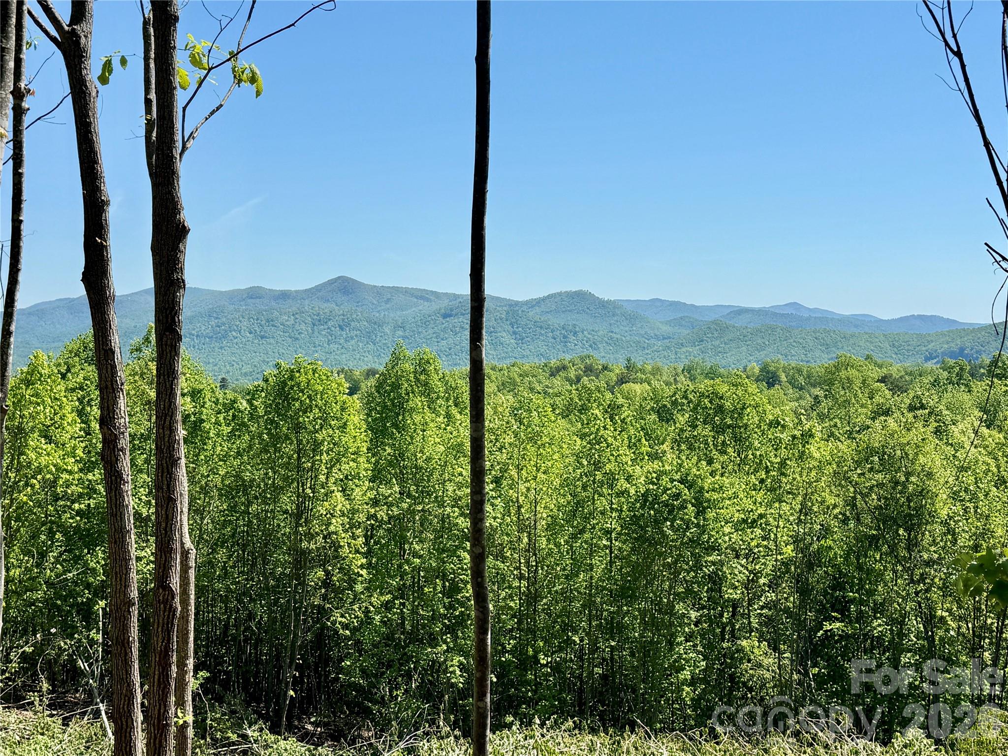 0 Doe Hallow Trail Nebo NC 28761