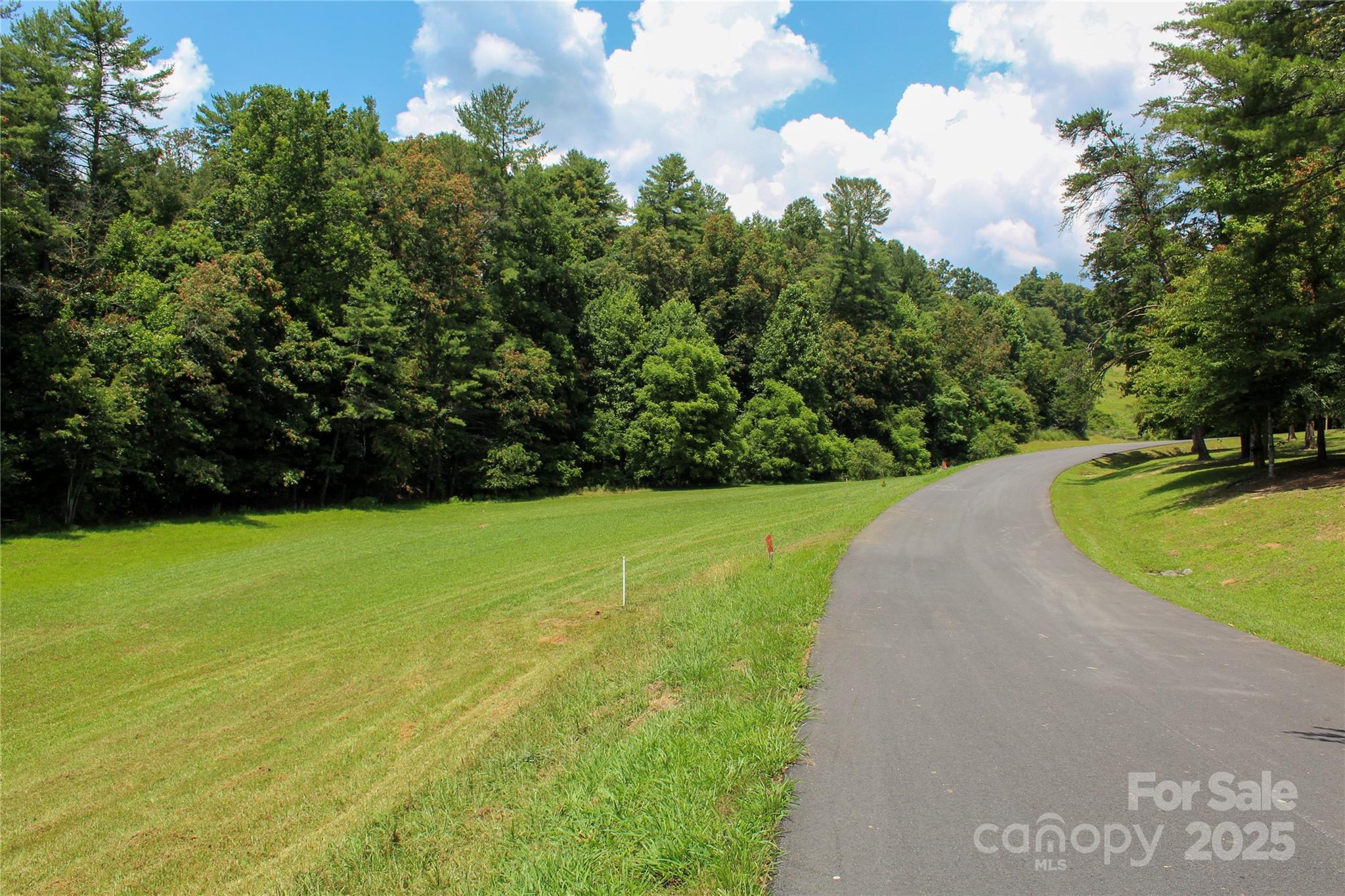9999 Settlers Trail Mars Hill NC 28754
