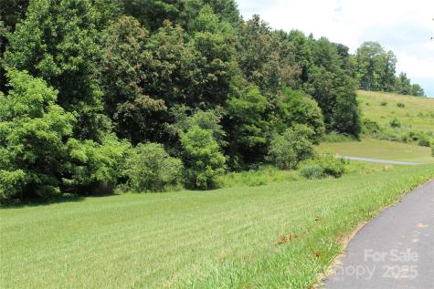 9999 Settlers Trail Mars Hill NC 28754