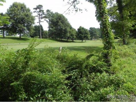 12 Woodlink Road Asheville NC 28801