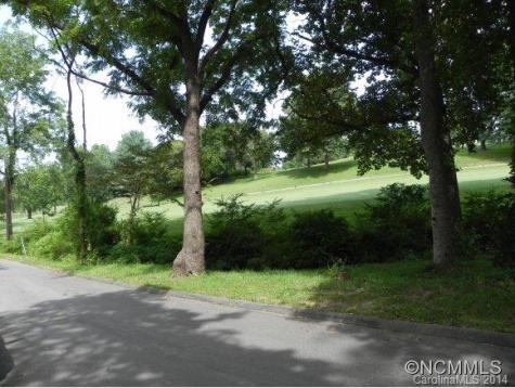 12 Woodlink Road Asheville NC 28801