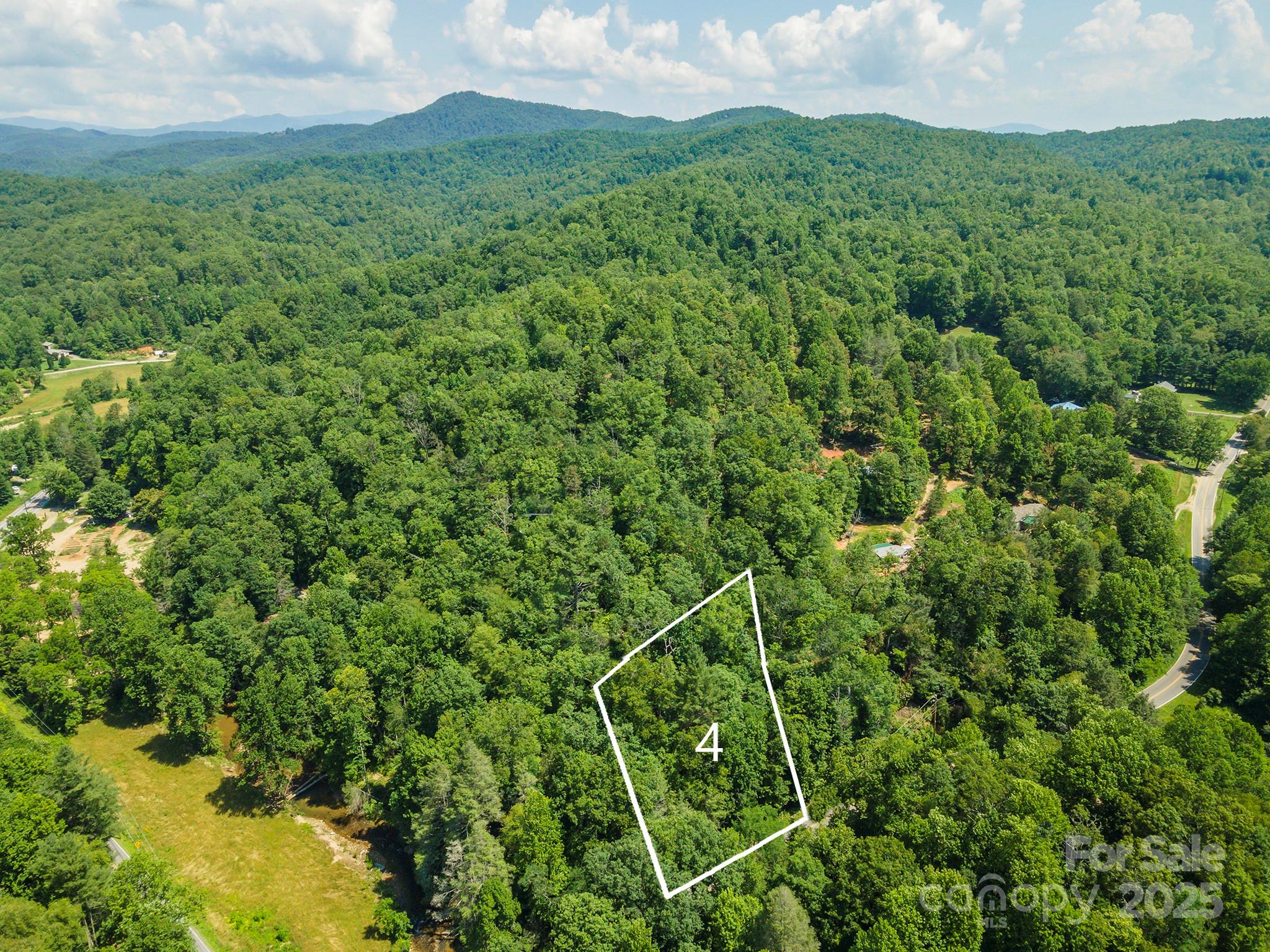 4 Roy Lane Black Mountain NC 28711