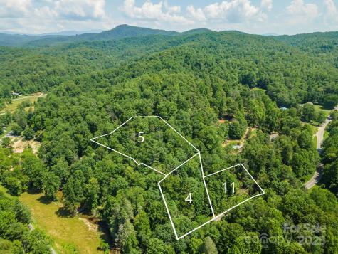 4 Roy Lane Black Mountain NC 28711