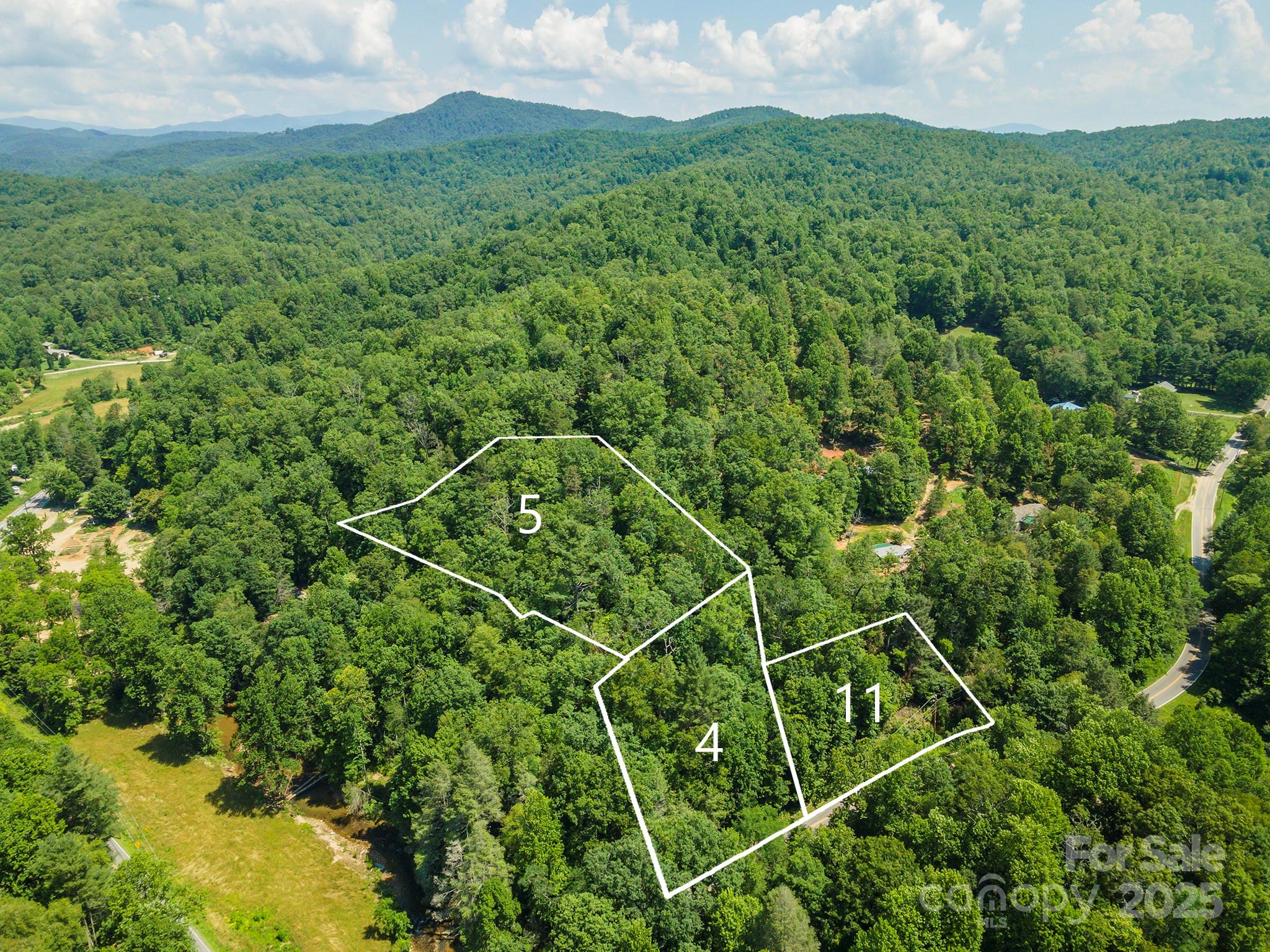 4 Roy Lane Black Mountain NC 28711