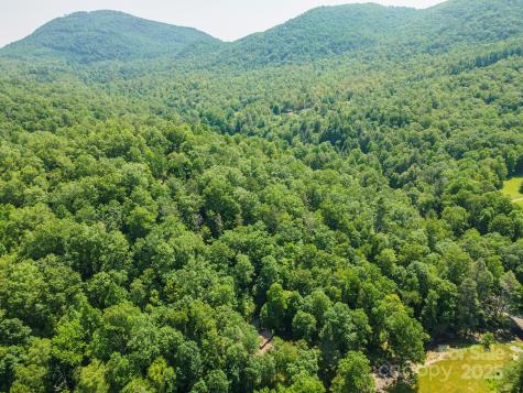 4 Roy Lane Black Mountain NC 28711