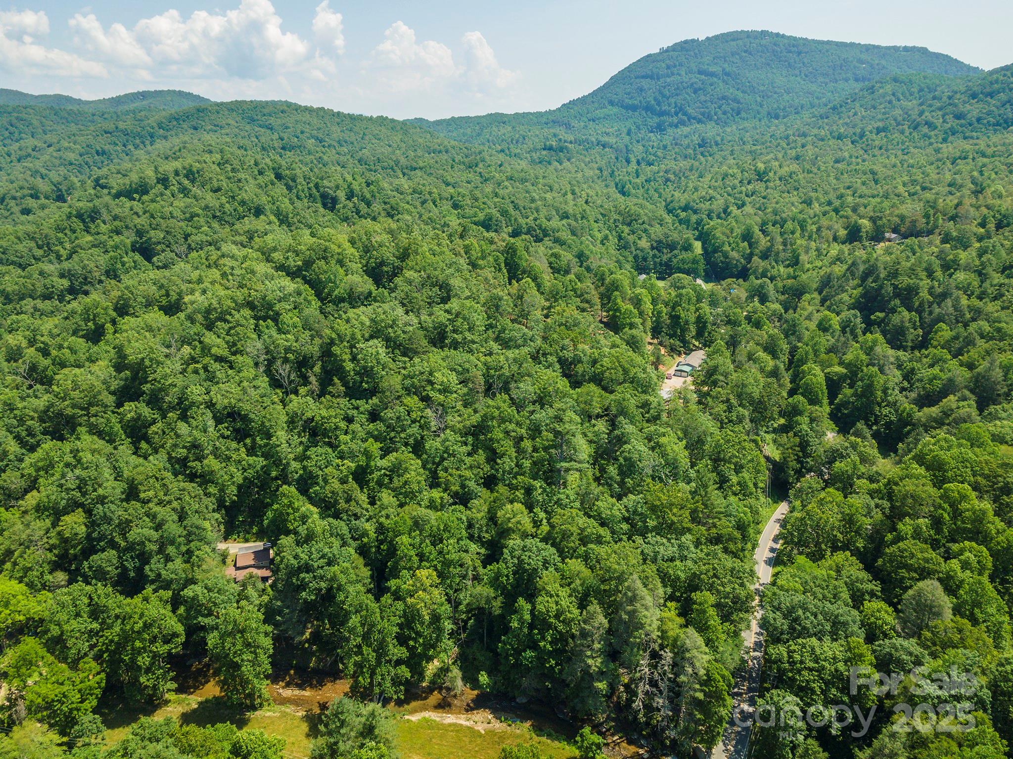 4 Roy Lane Black Mountain NC 28711