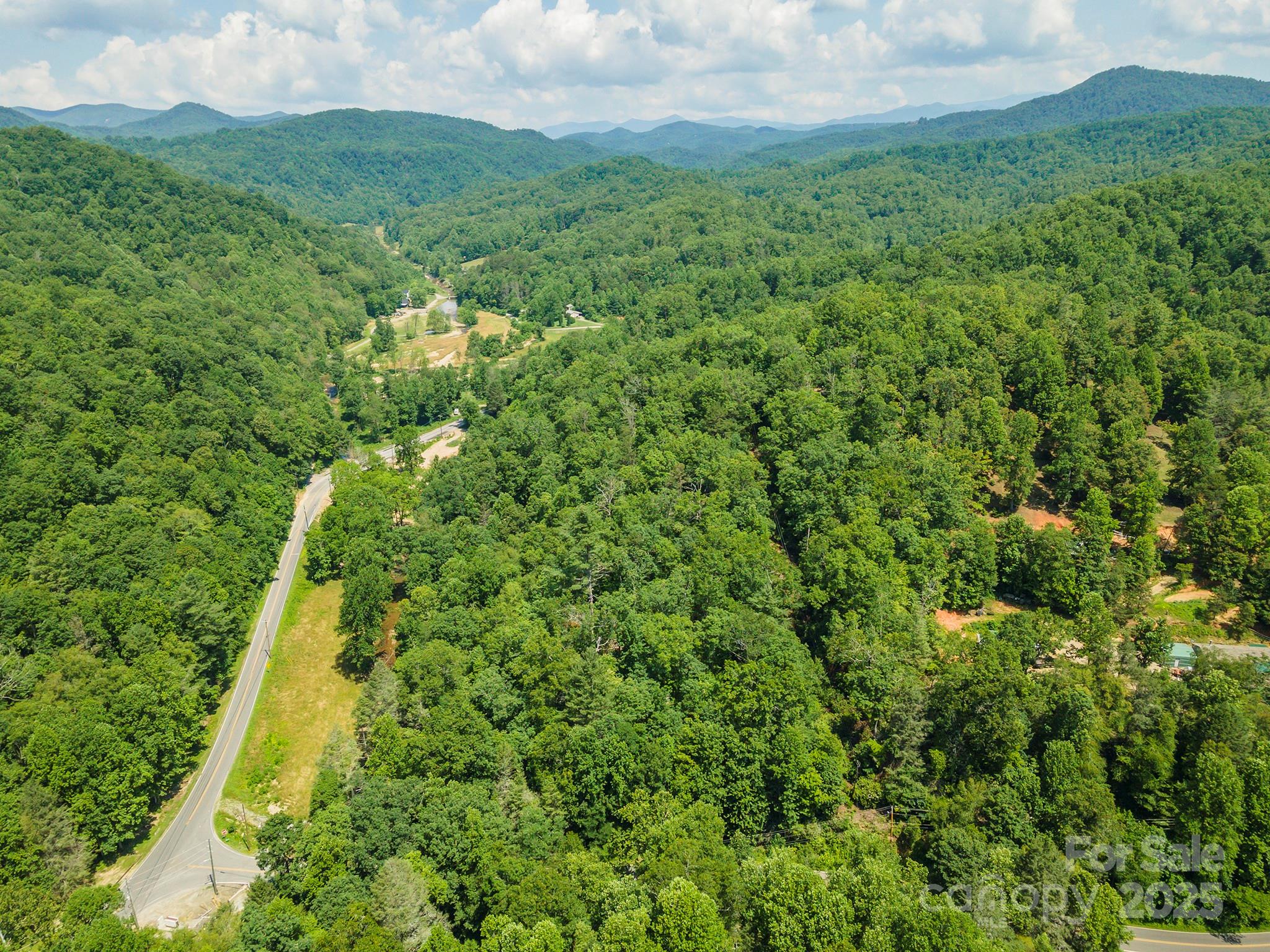 4 Roy Lane Black Mountain NC 28711