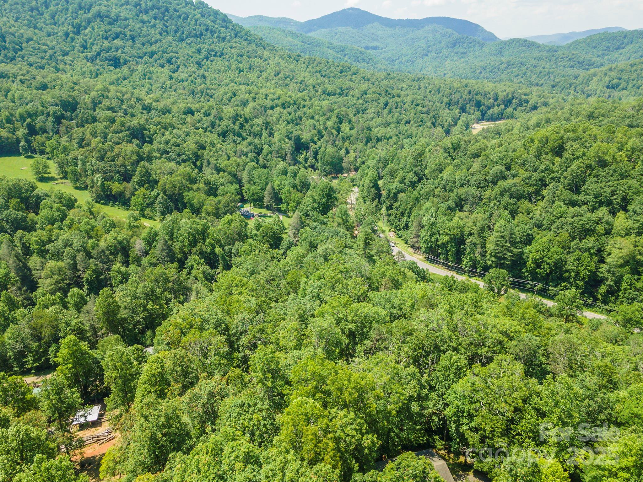 4 Roy Lane Black Mountain NC 28711