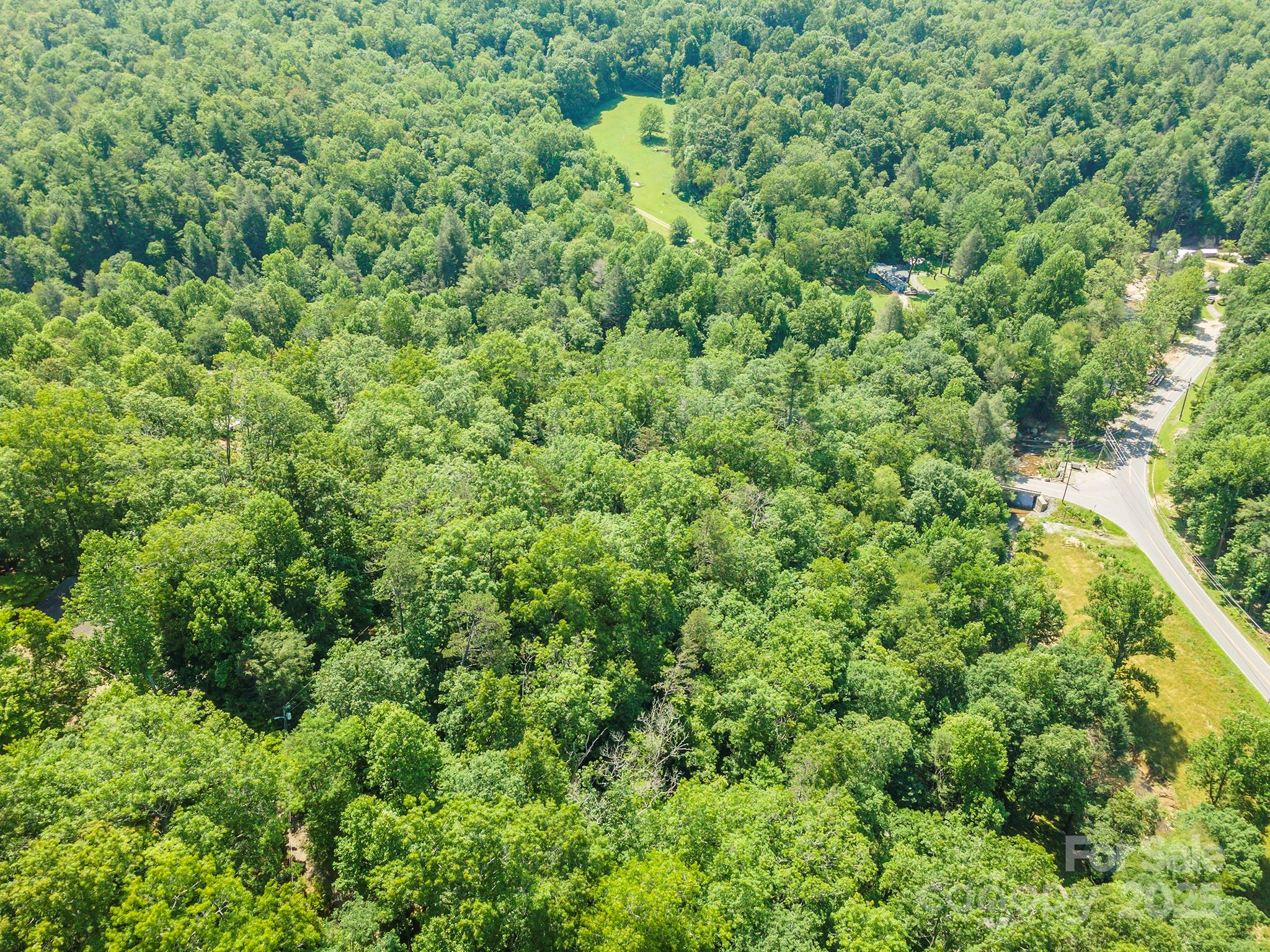 4 Roy Lane Black Mountain NC 28711