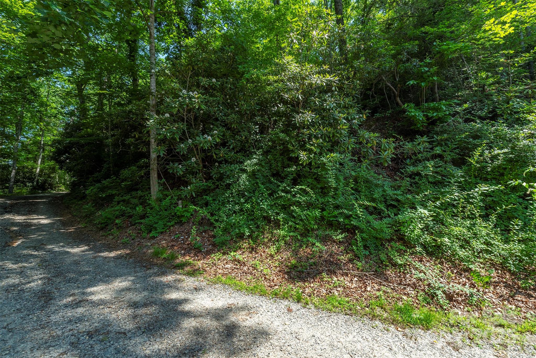 4 Roy Lane Black Mountain NC 28711