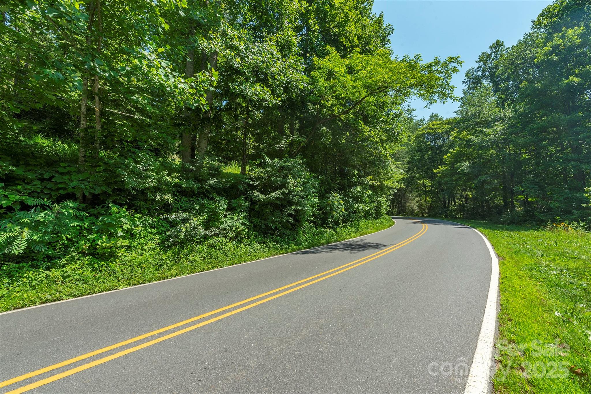 4 Roy Lane Black Mountain NC 28711