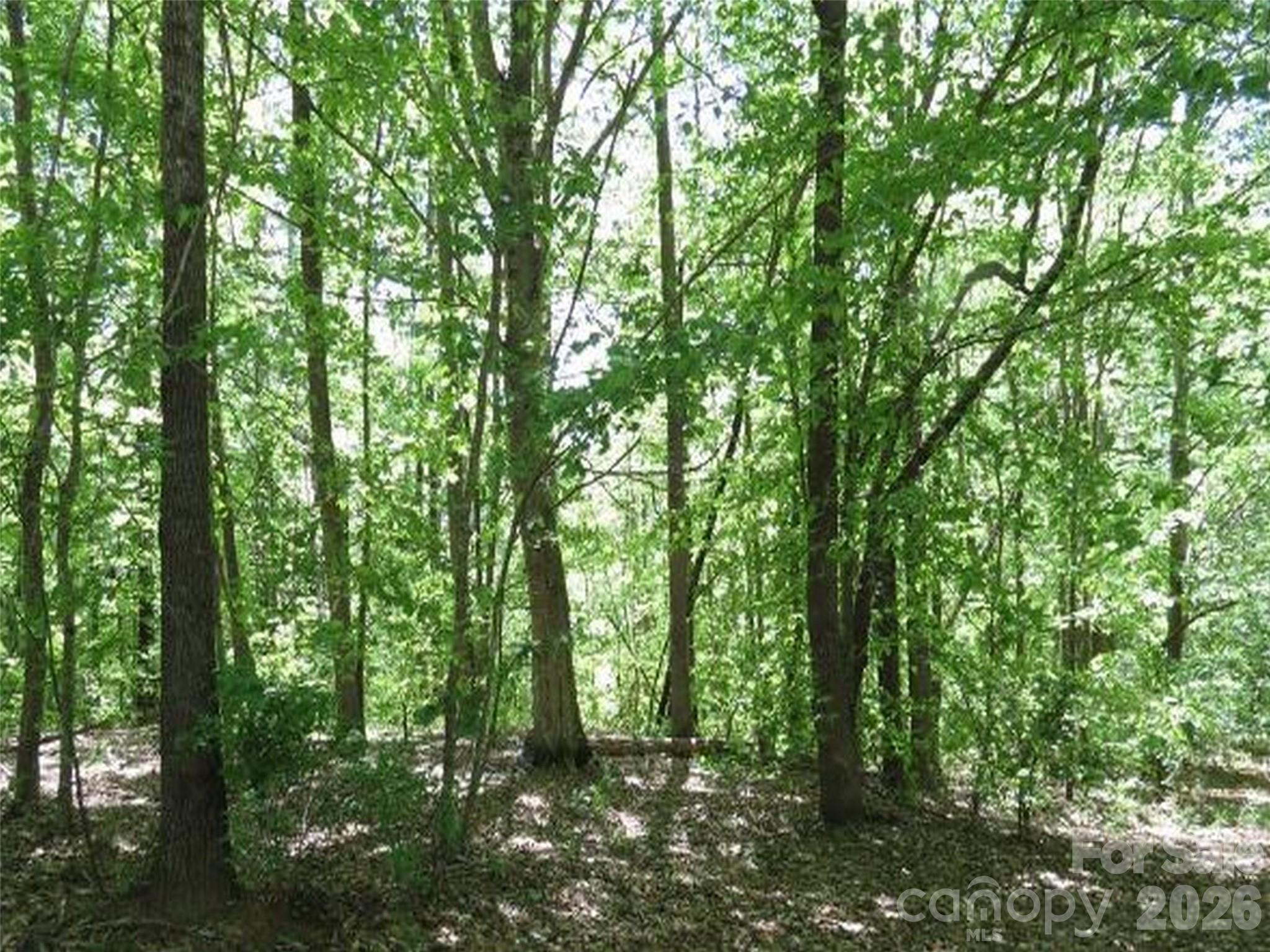 0 General Griffith Circle Rutherfordton NC 28139