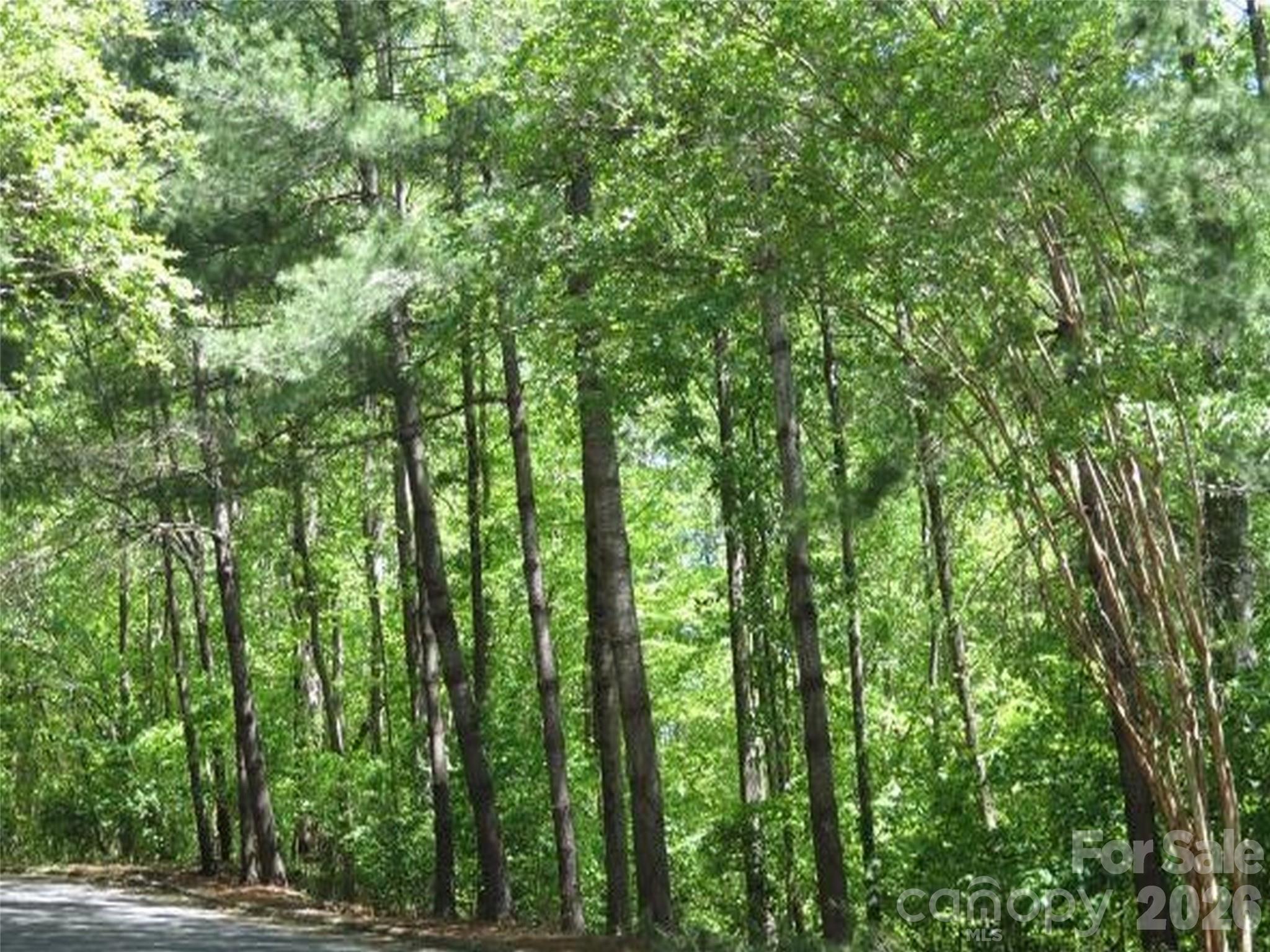 0 General Griffith Circle Rutherfordton NC 28139