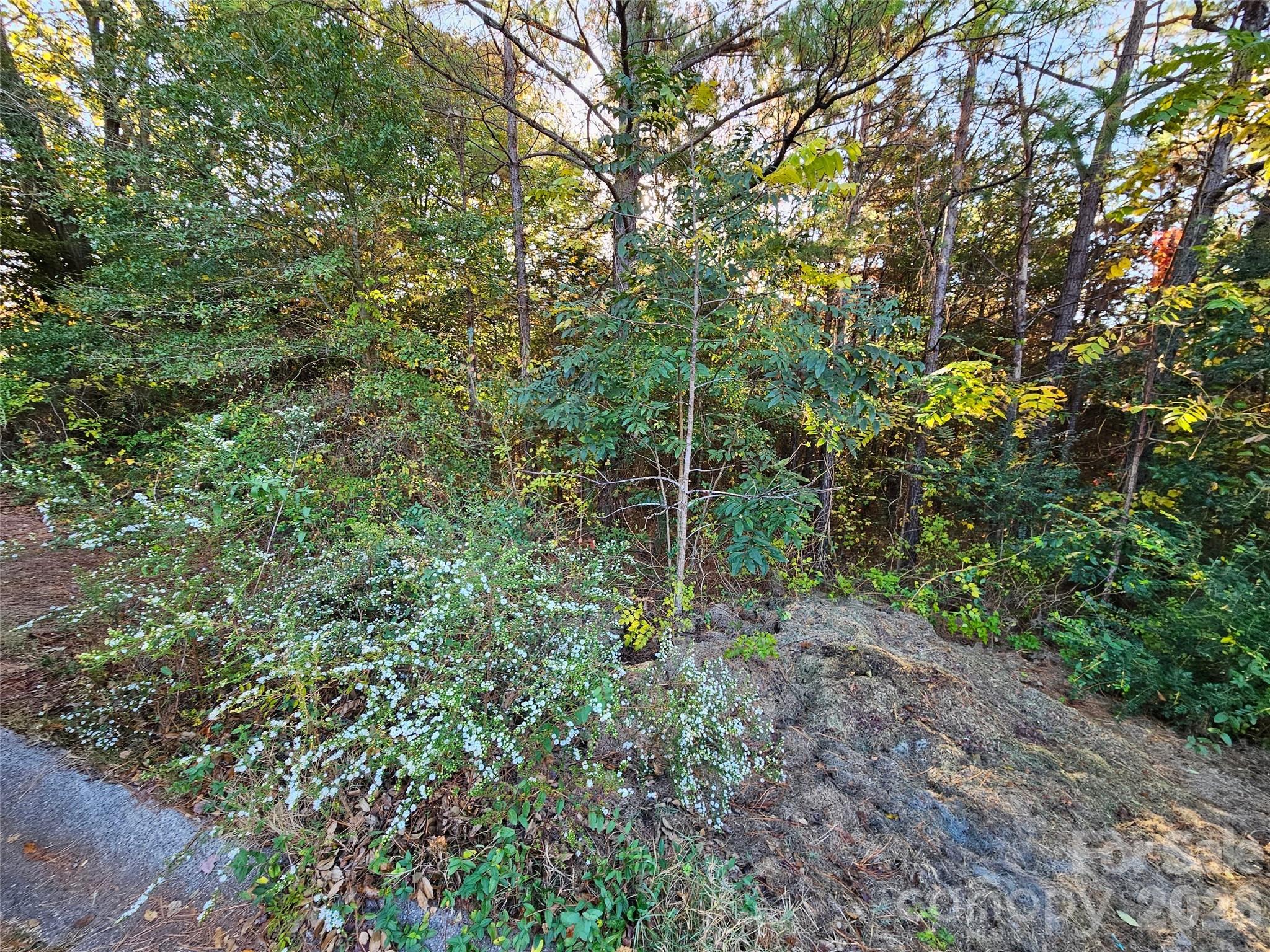 0 General Griffith Circle Rutherfordton NC 28139