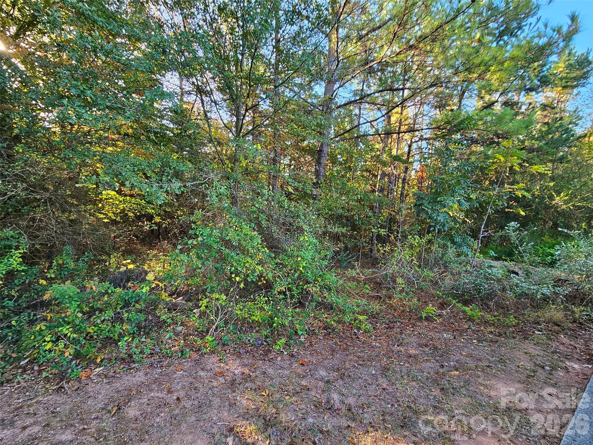 0 General Griffith Circle Rutherfordton NC 28139