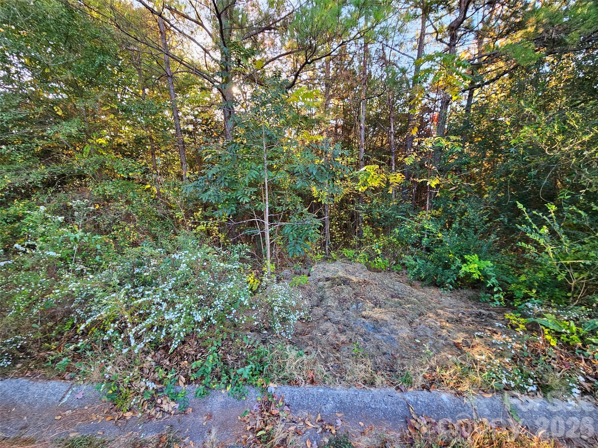 0 General Griffith Circle Rutherfordton NC 28139
