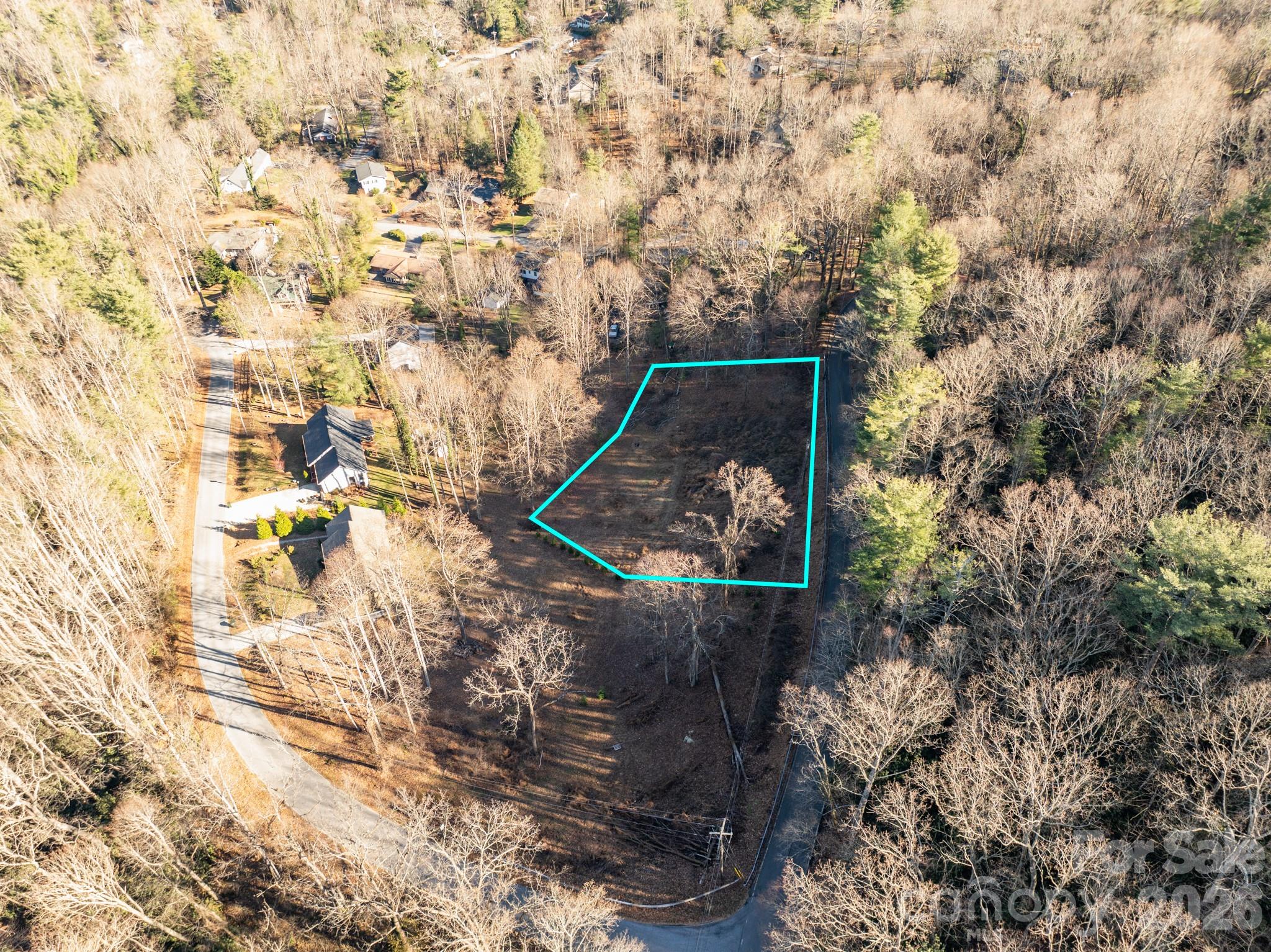 000 Davis Mountain Road Laurel Park NC 28739