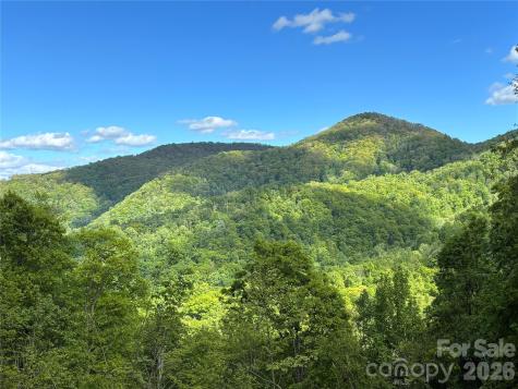 (West Lot) Meadow Fork Road Hot Springs NC 28743