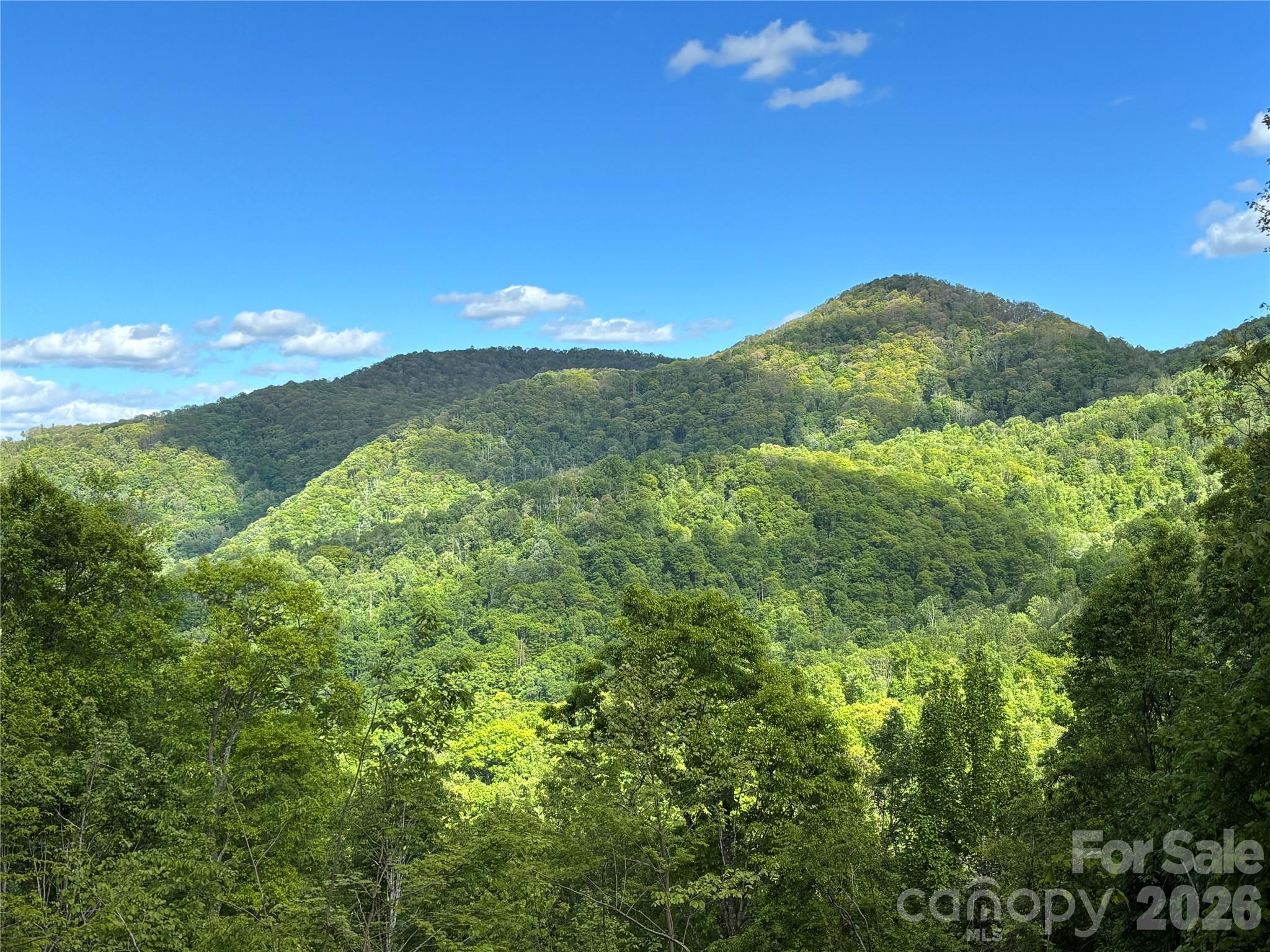 (West Lot) Meadow Fork Road Hot Springs NC 28743