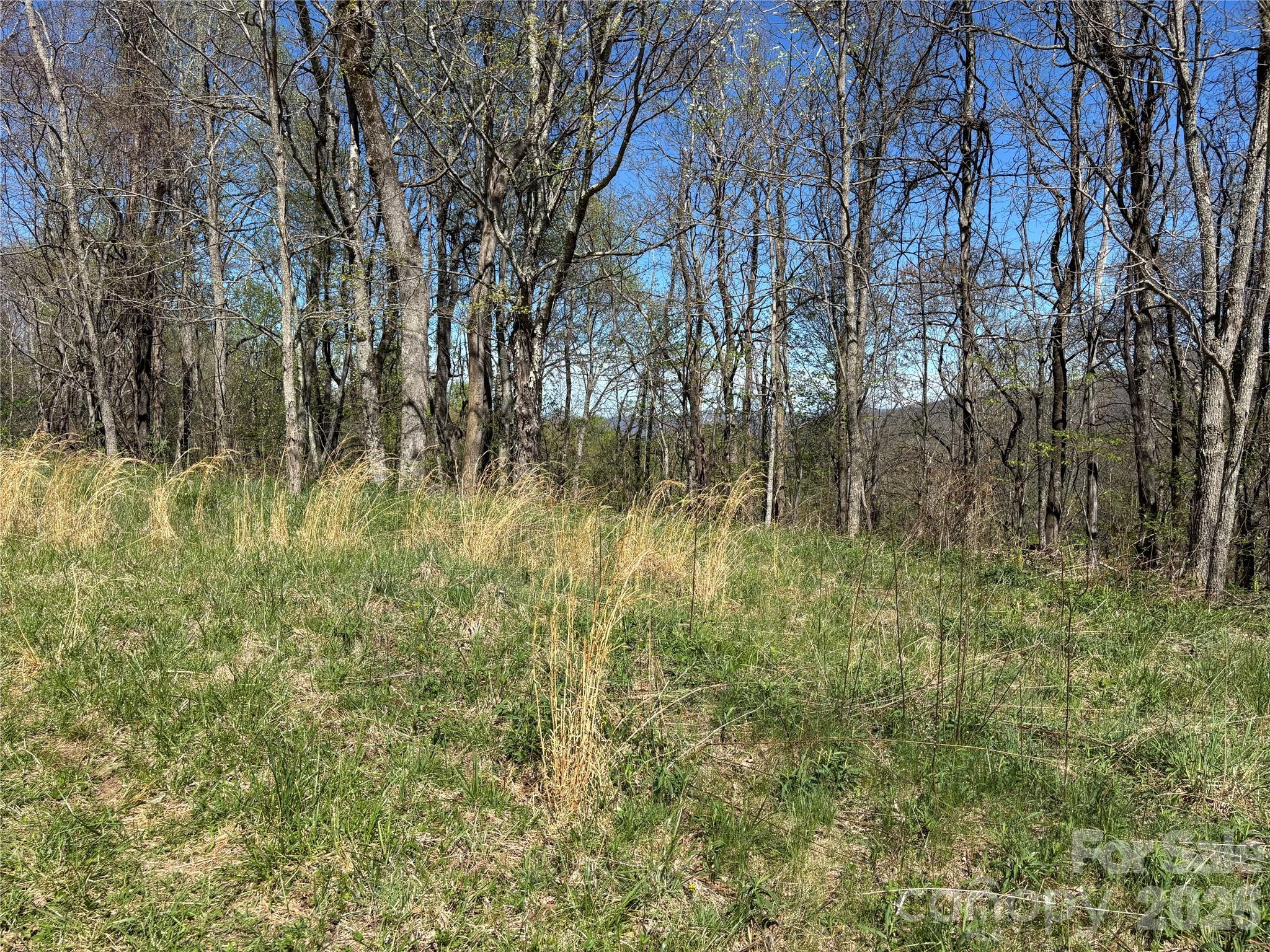 (West Lot) Meadow Fork Road Hot Springs NC 28743