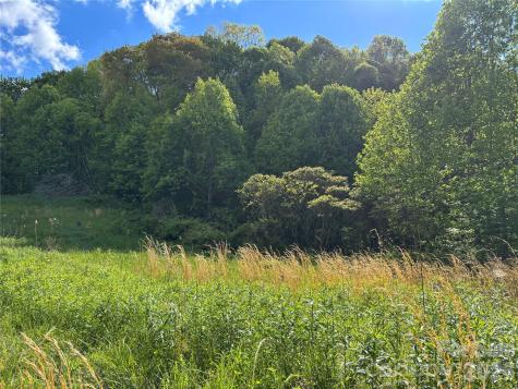 (West Lot) Meadow Fork Road Hot Springs NC 28743