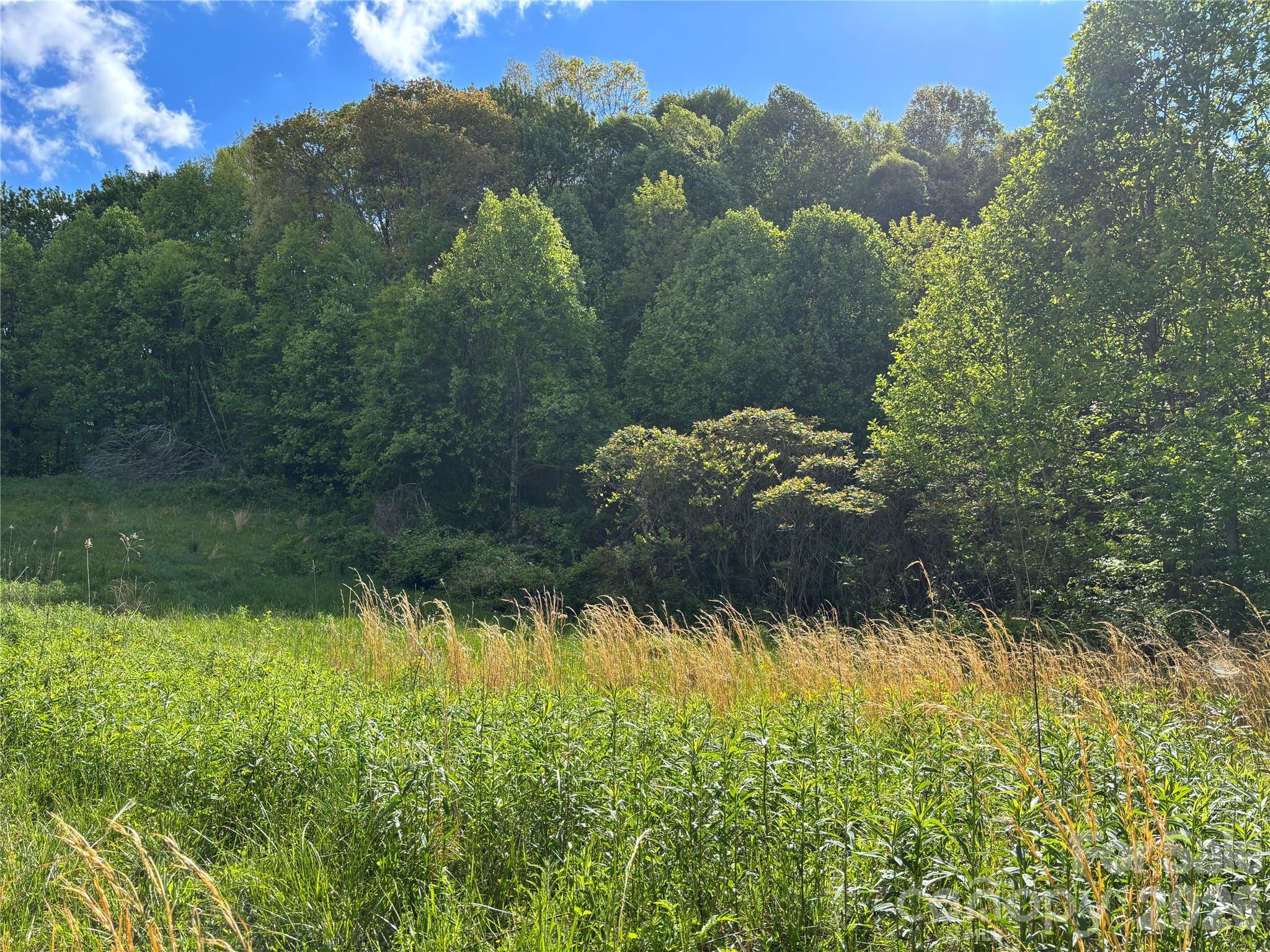 (West Lot) Meadow Fork Road Hot Springs NC 28743