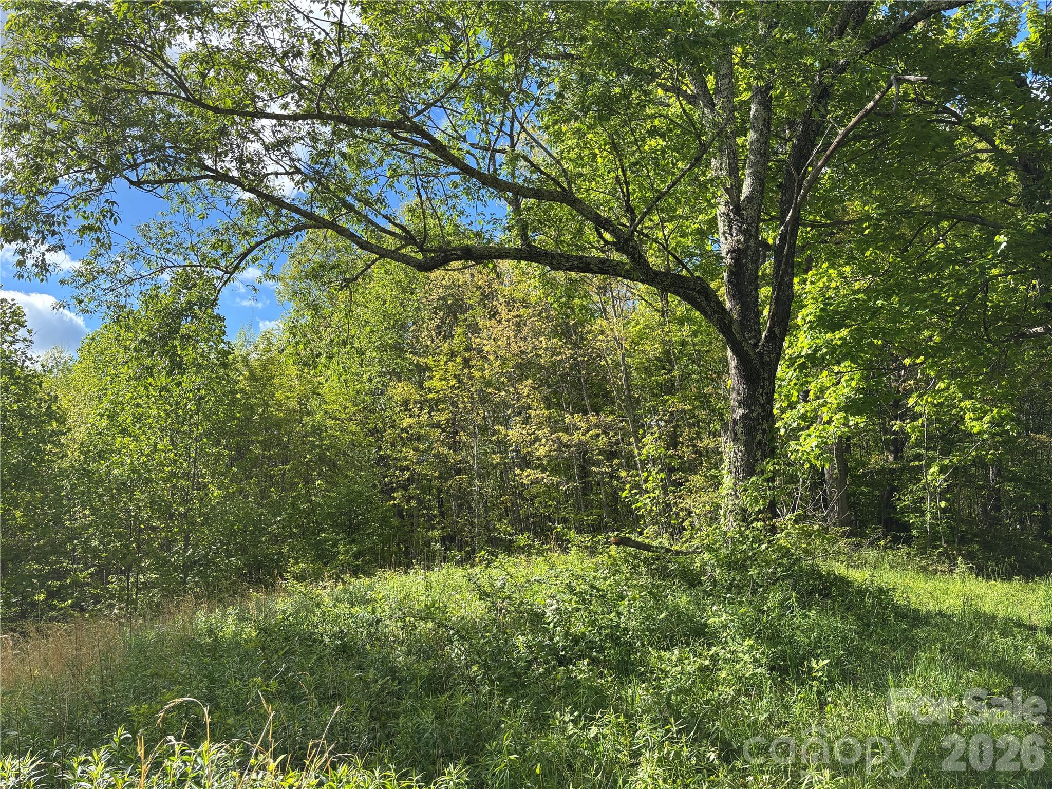 (West Lot) Meadow Fork Road Hot Springs NC 28743