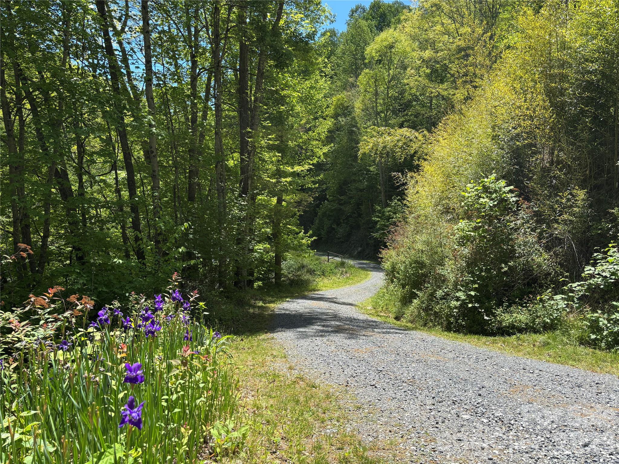 (West Lot) Meadow Fork Road Hot Springs NC 28743