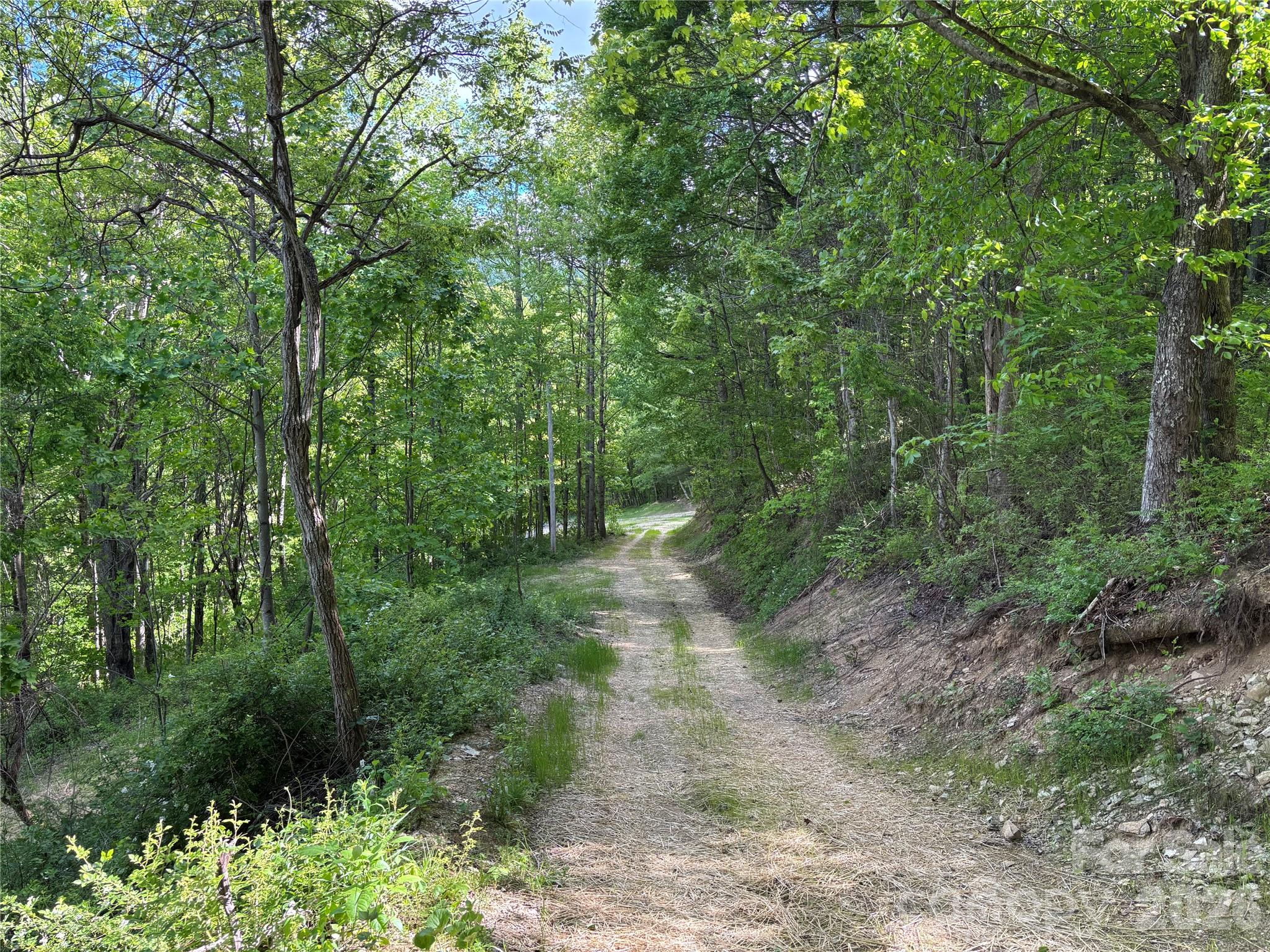 (West Lot) Meadow Fork Road Hot Springs NC 28743