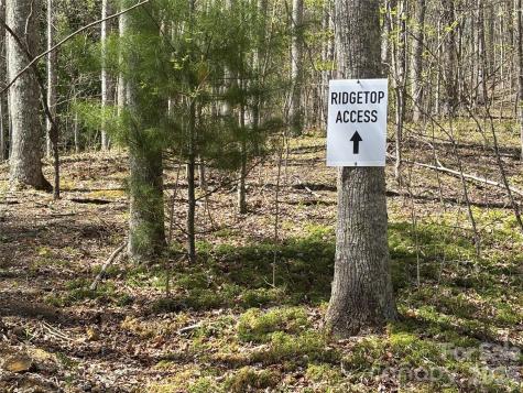 (West Lot) Meadow Fork Road Hot Springs NC 28743