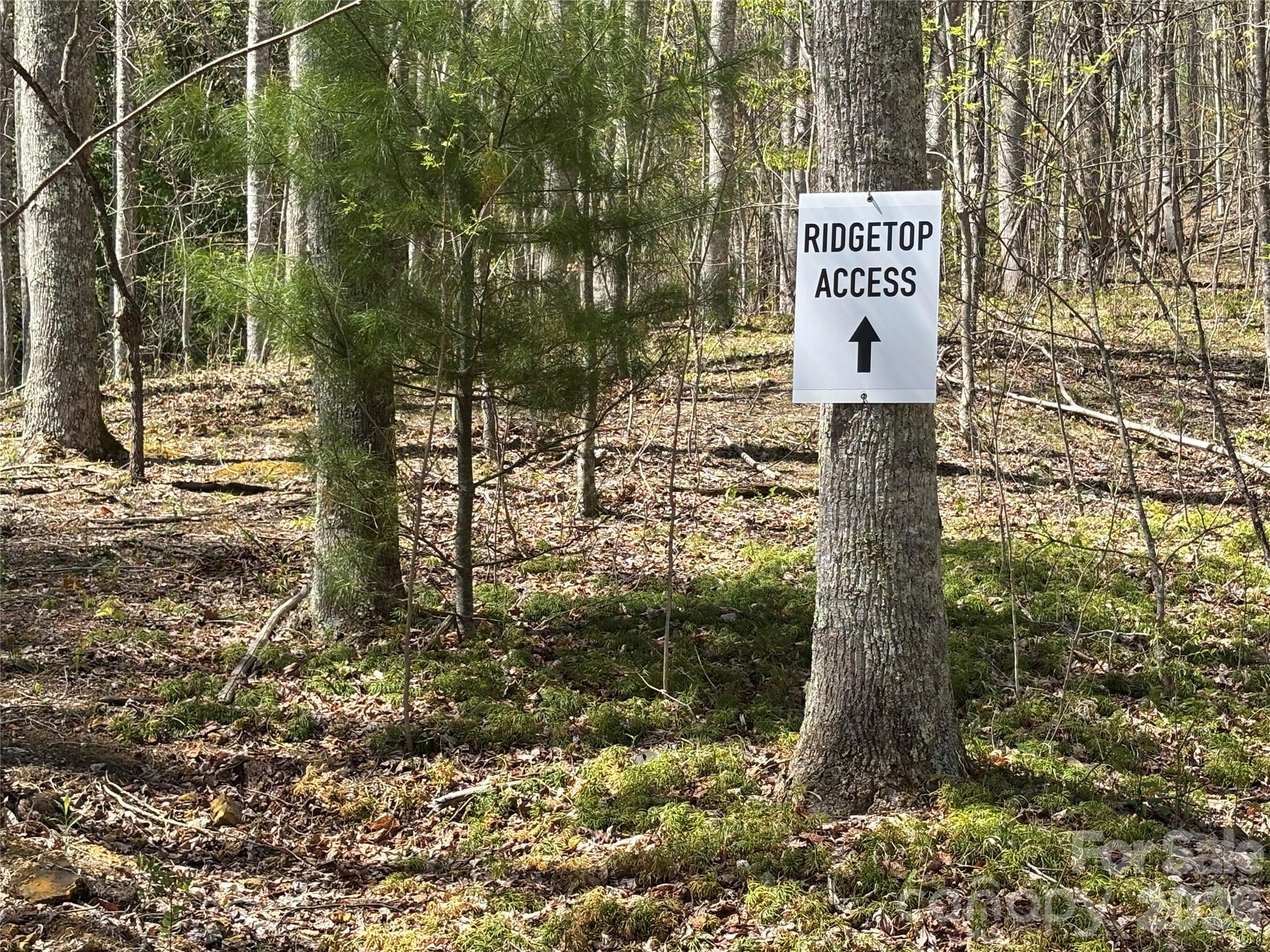 (West Lot) Meadow Fork Road Hot Springs NC 28743