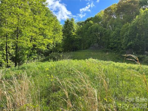 (West Lot) Meadow Fork Road Hot Springs NC 28743