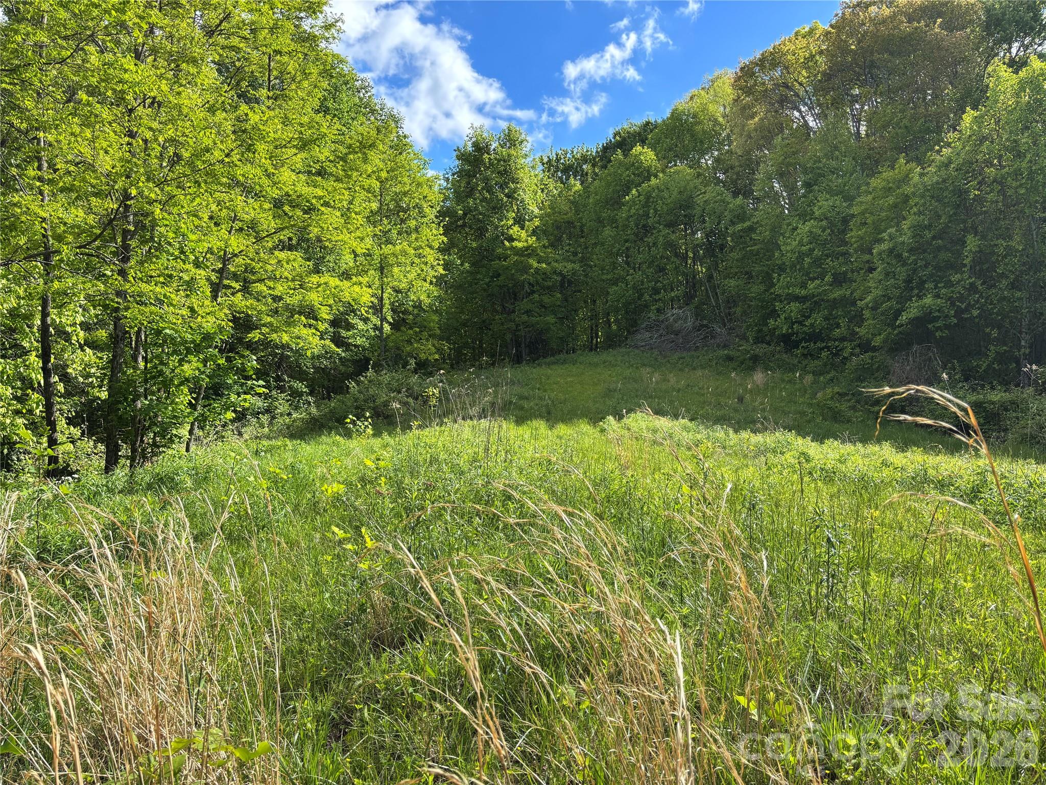 (West Lot) Meadow Fork Road Hot Springs NC 28743