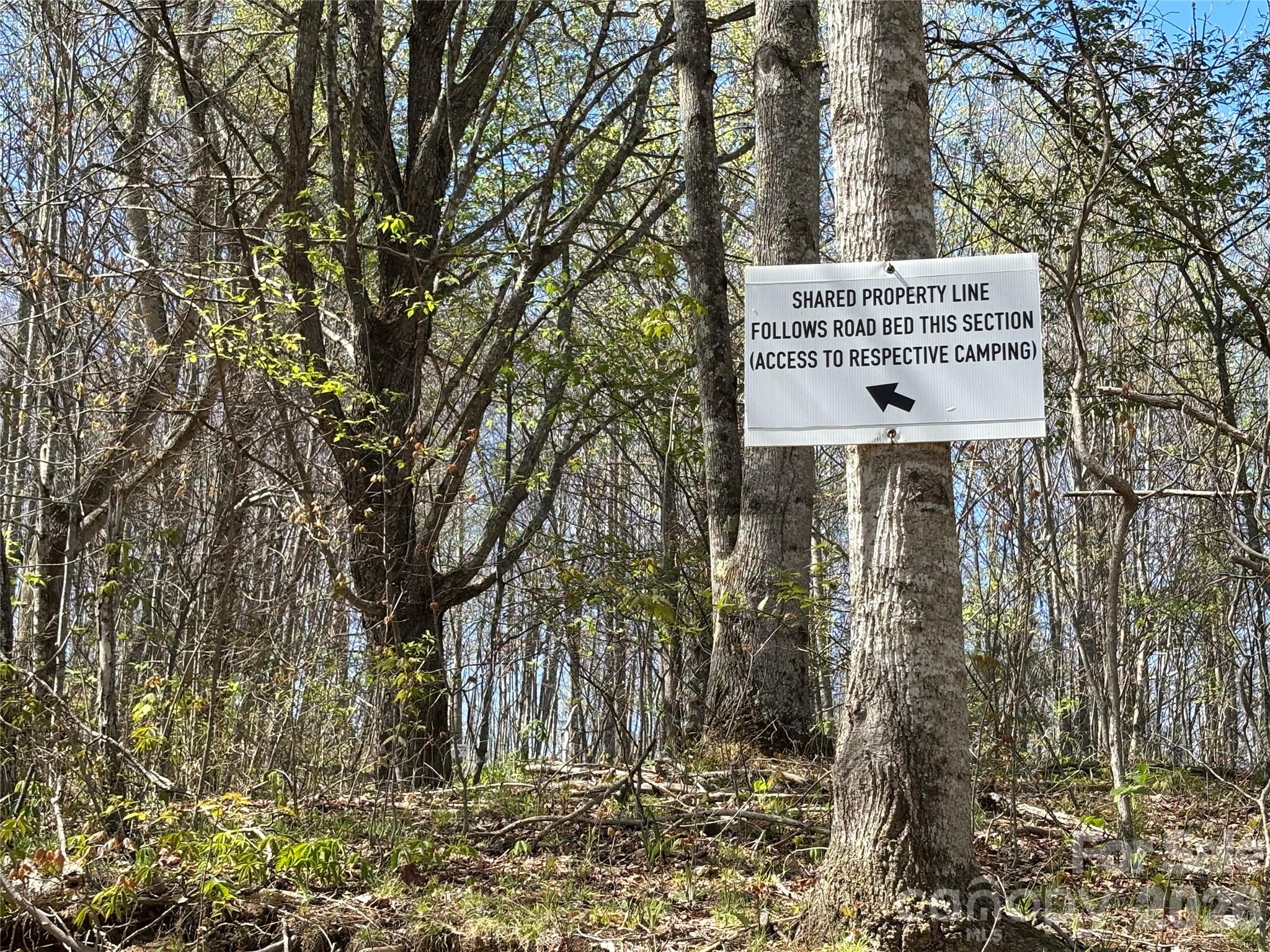 (West Lot) Meadow Fork Road Hot Springs NC 28743